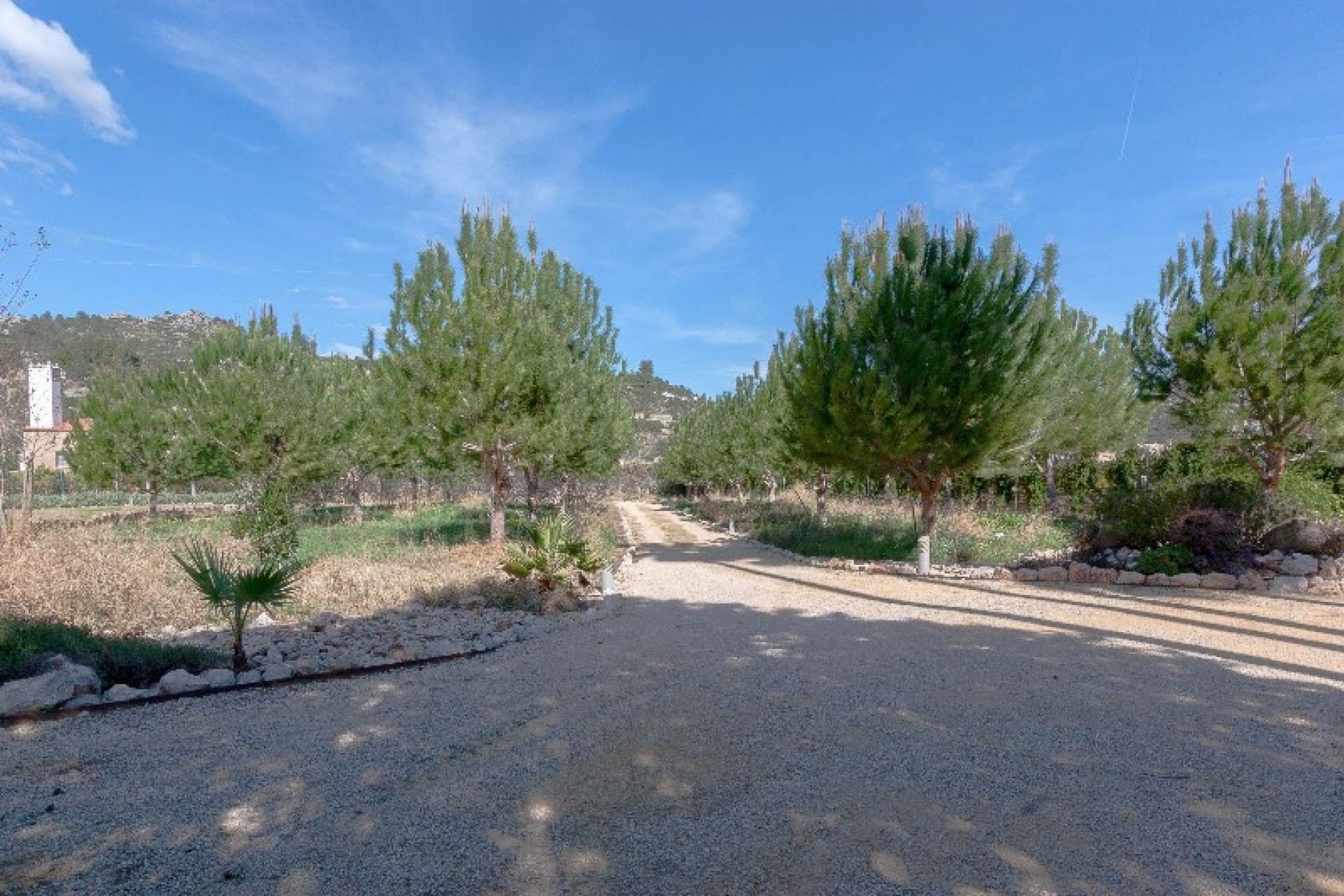 Sale - Finca / Country Property -
Rafol de Almunia