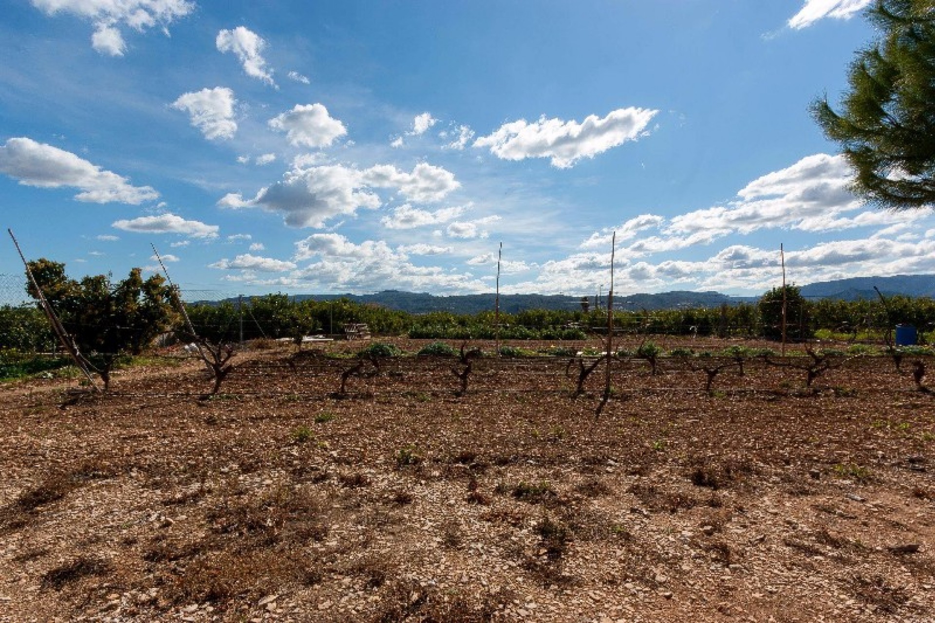 Sale - Finca / Country Property -
Rafol de Almunia