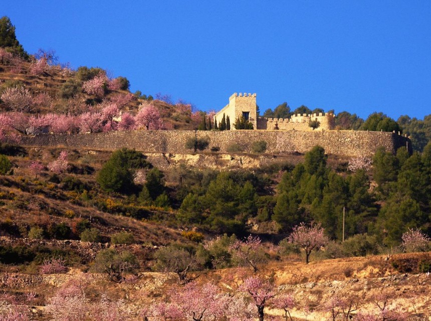 Sale - Finca / Country Property -
Relleu - Comunidad valenciana