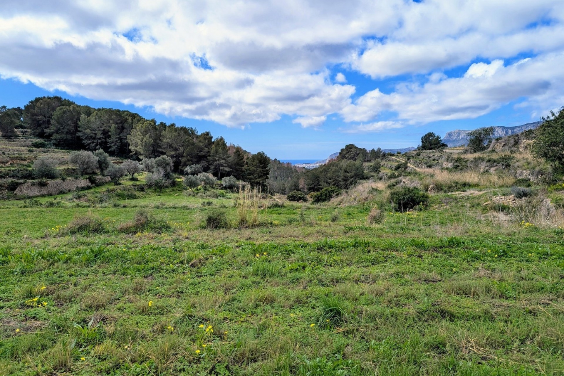 Sale - Plot -
Benissa - Partida Biasner