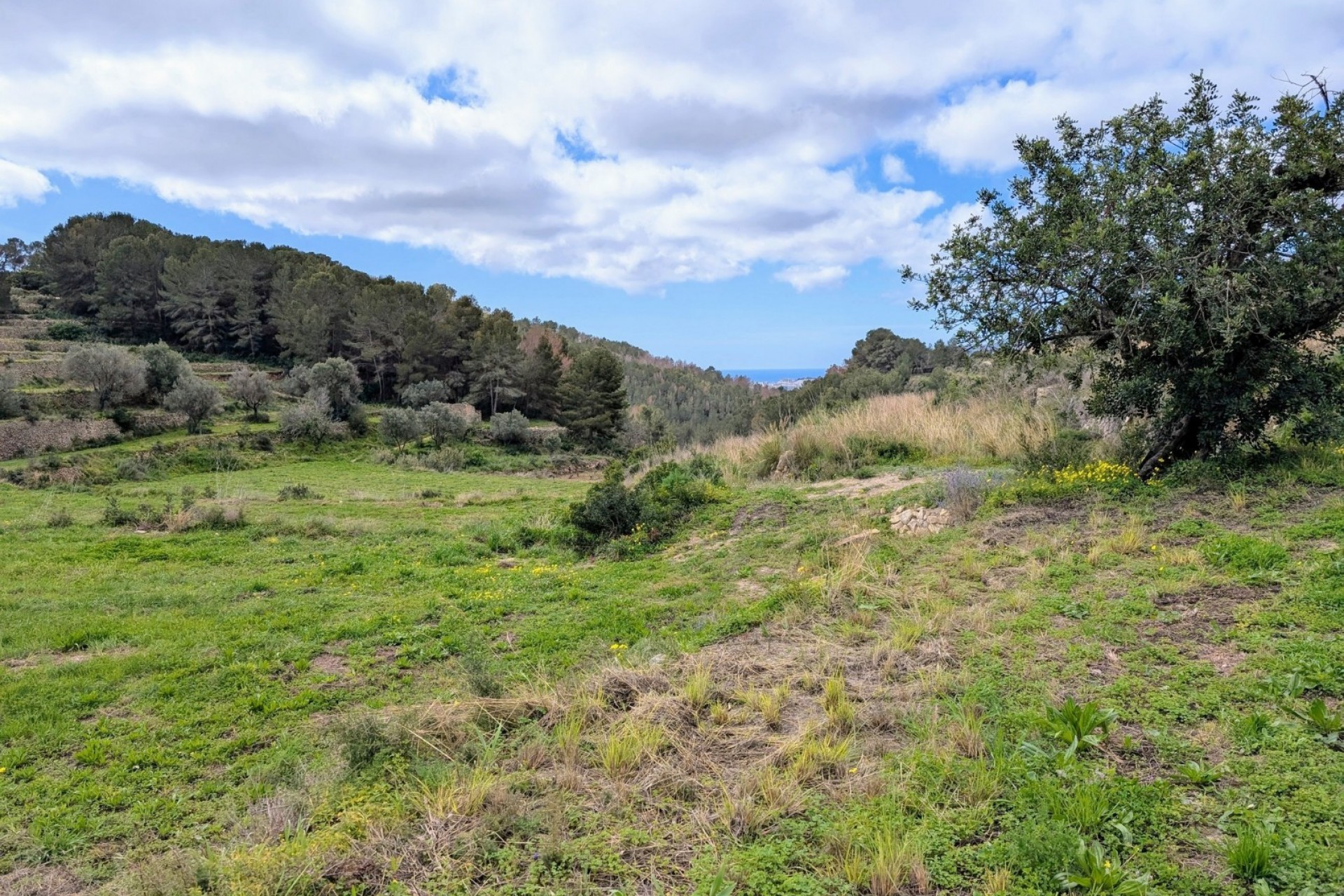 Sale - Plot -
Benissa - Partida Biasner