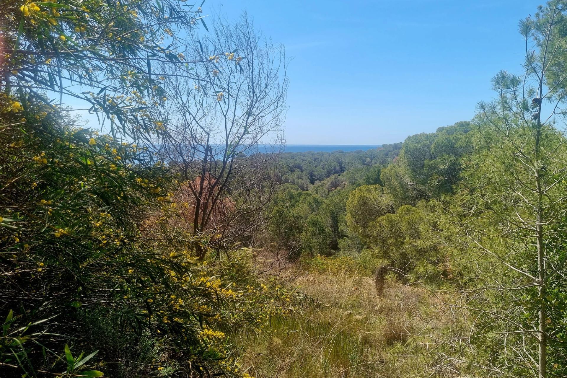 Sale - Plot/Land -
Altea - Galera de las palmeras