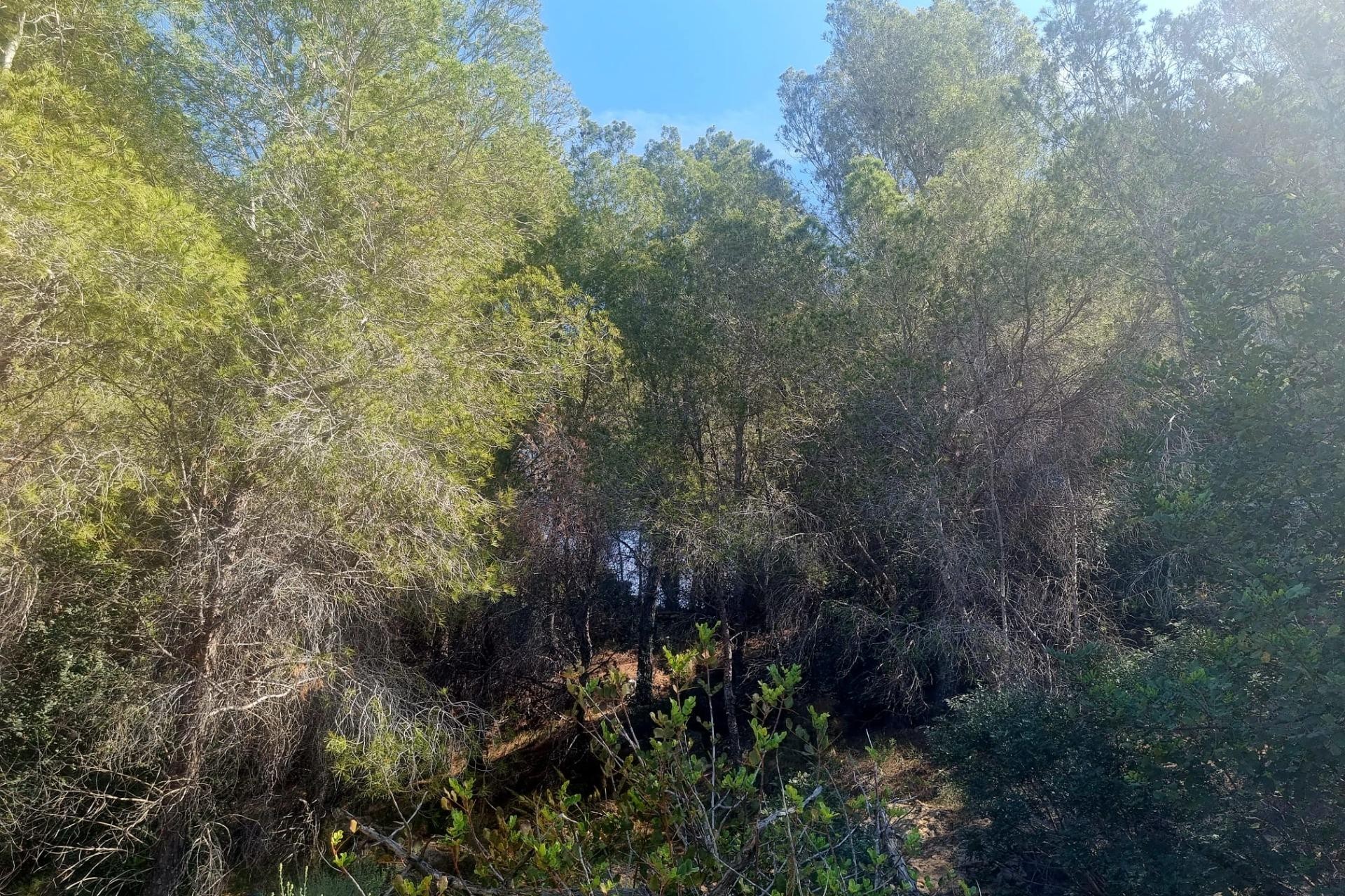 Sale - Plot/Land -
Altea - Galera de las palmeras