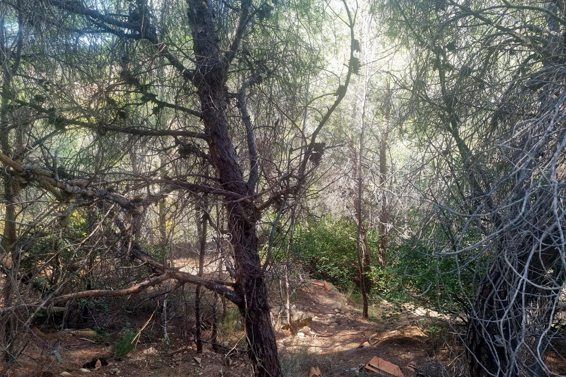 Sale - Plot/Land -
Altea - Galera de las palmeras