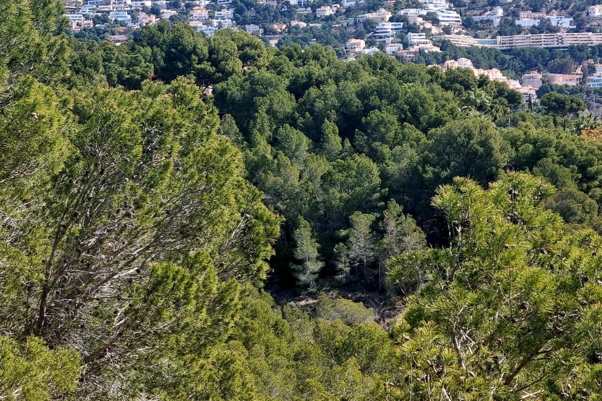 Sale - Plot/Land -
Altea - Galera de las palmeras