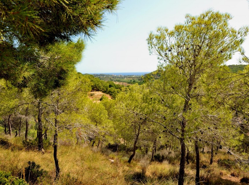 Sale - Plot/Land -
Altea