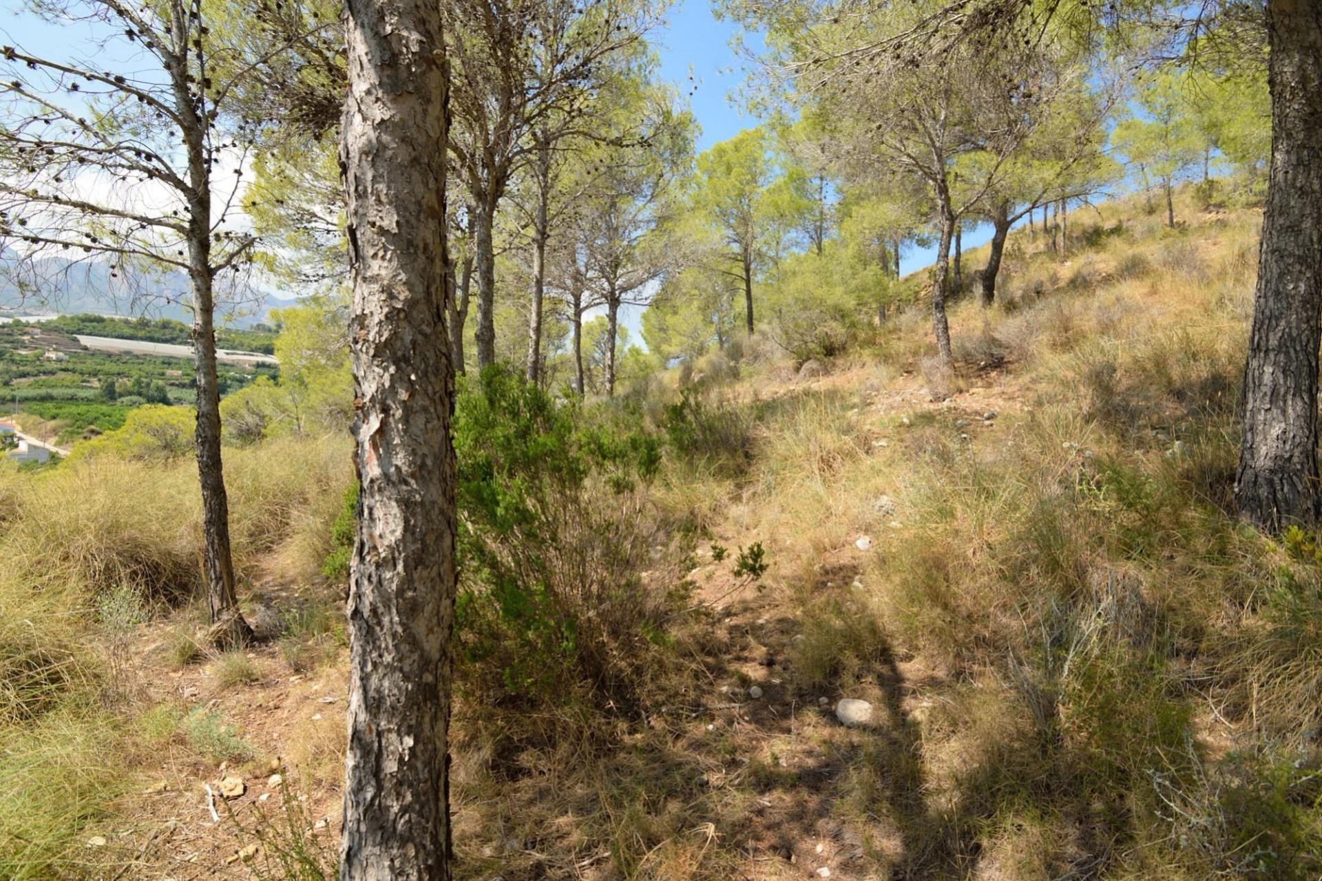 Sale - Plot/Land -
Altea