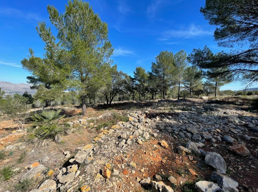 Sale - Plot/Land -
Beniarbeig - Benidoleig