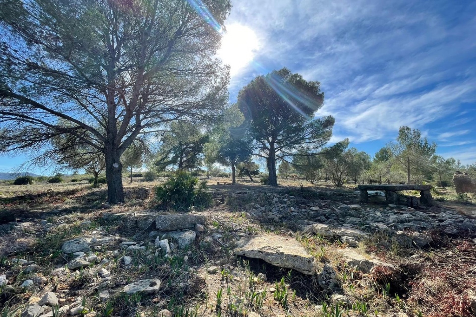 Sale - Plot/Land -
Beniarbeig - Benidoleig