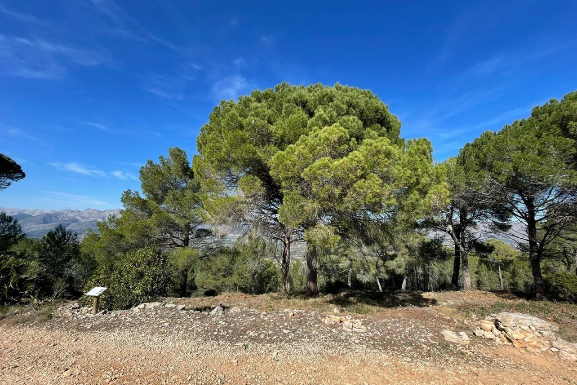 Sale - Plot/Land -
Beniarbeig - Benidoleig