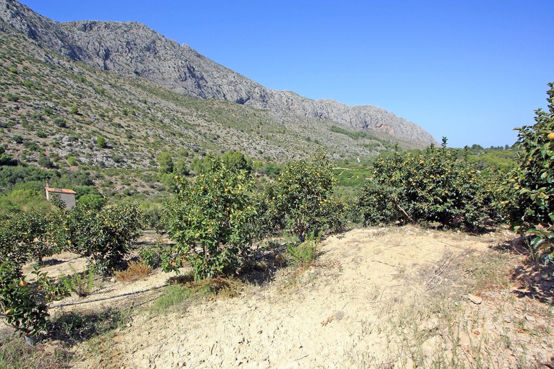 Sale - Plot/Land -
Beniarbeig - Periferia