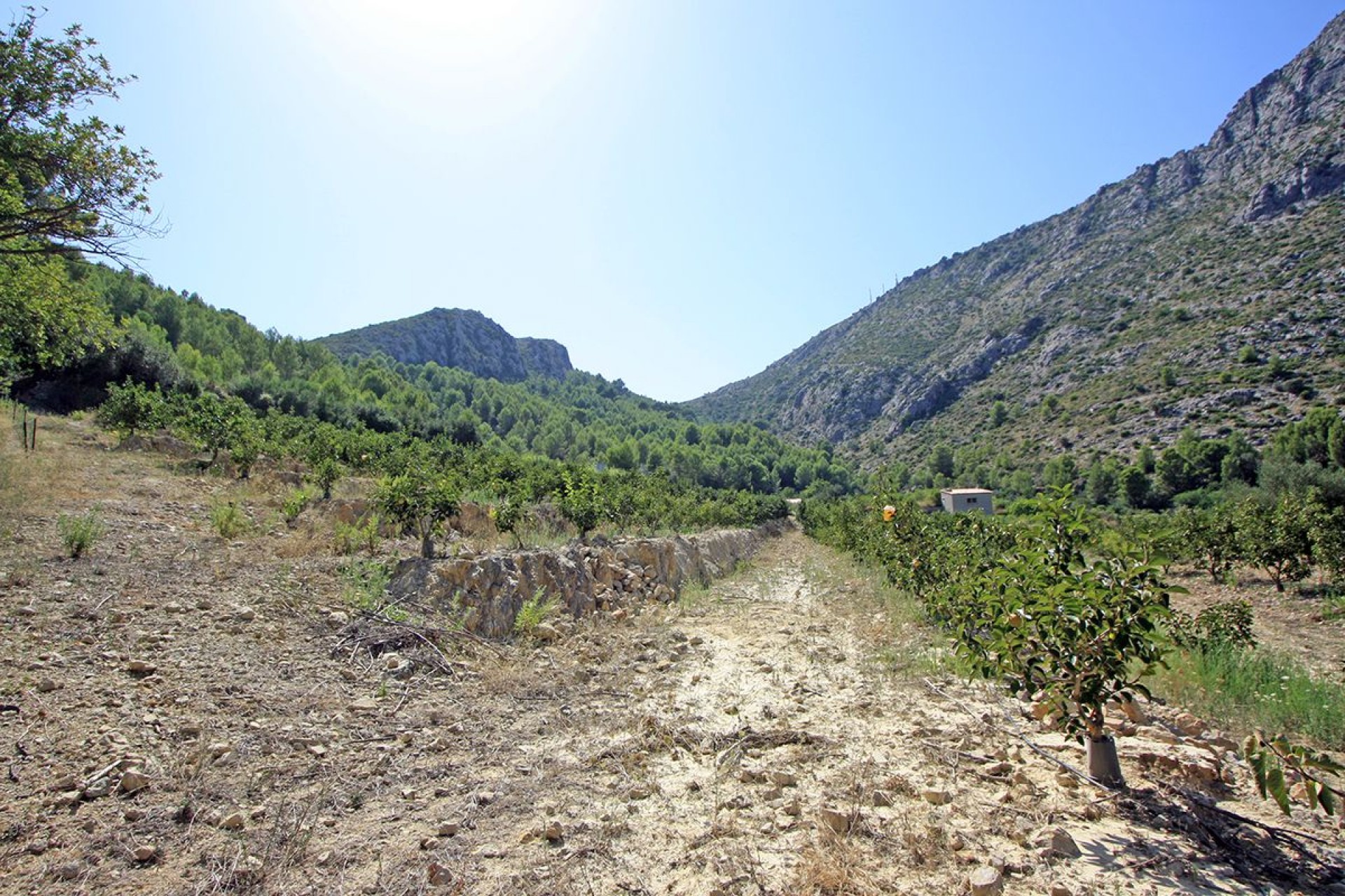 Sale - Plot/Land -
Beniarbeig - Periferia