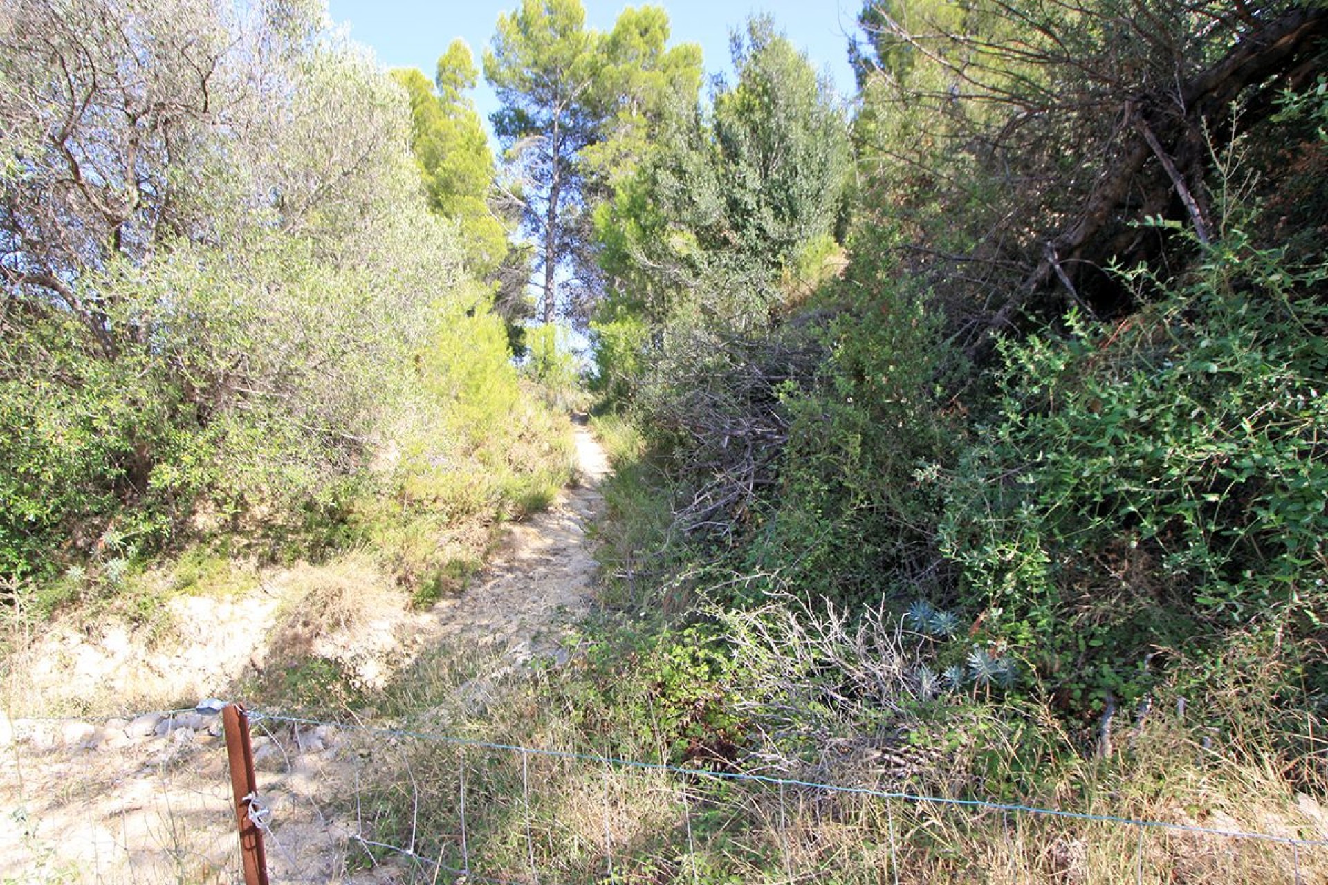 Sale - Plot/Land -
Beniarbeig - Periferia