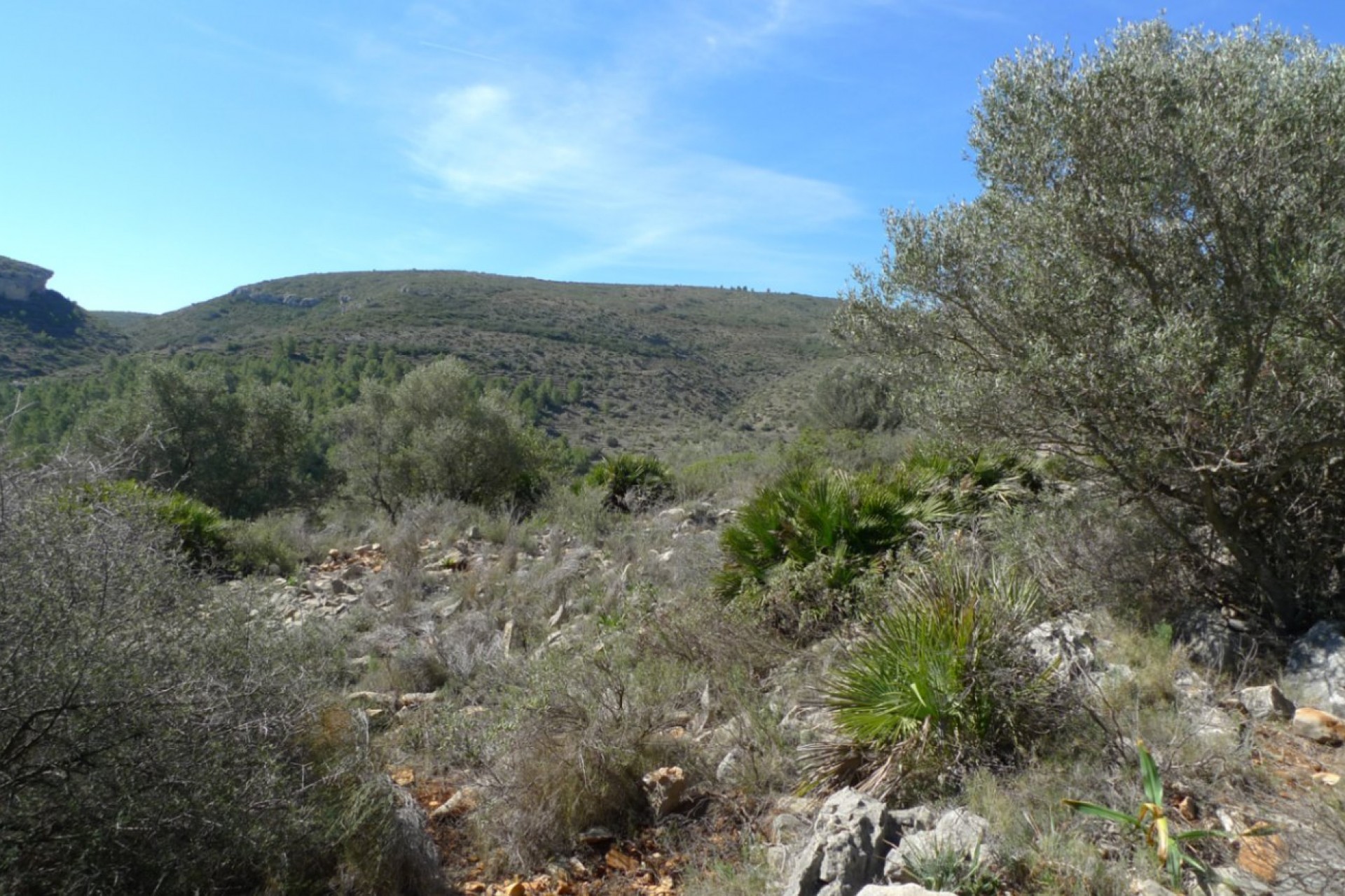 Sale - Plot/Land -
Benigembla