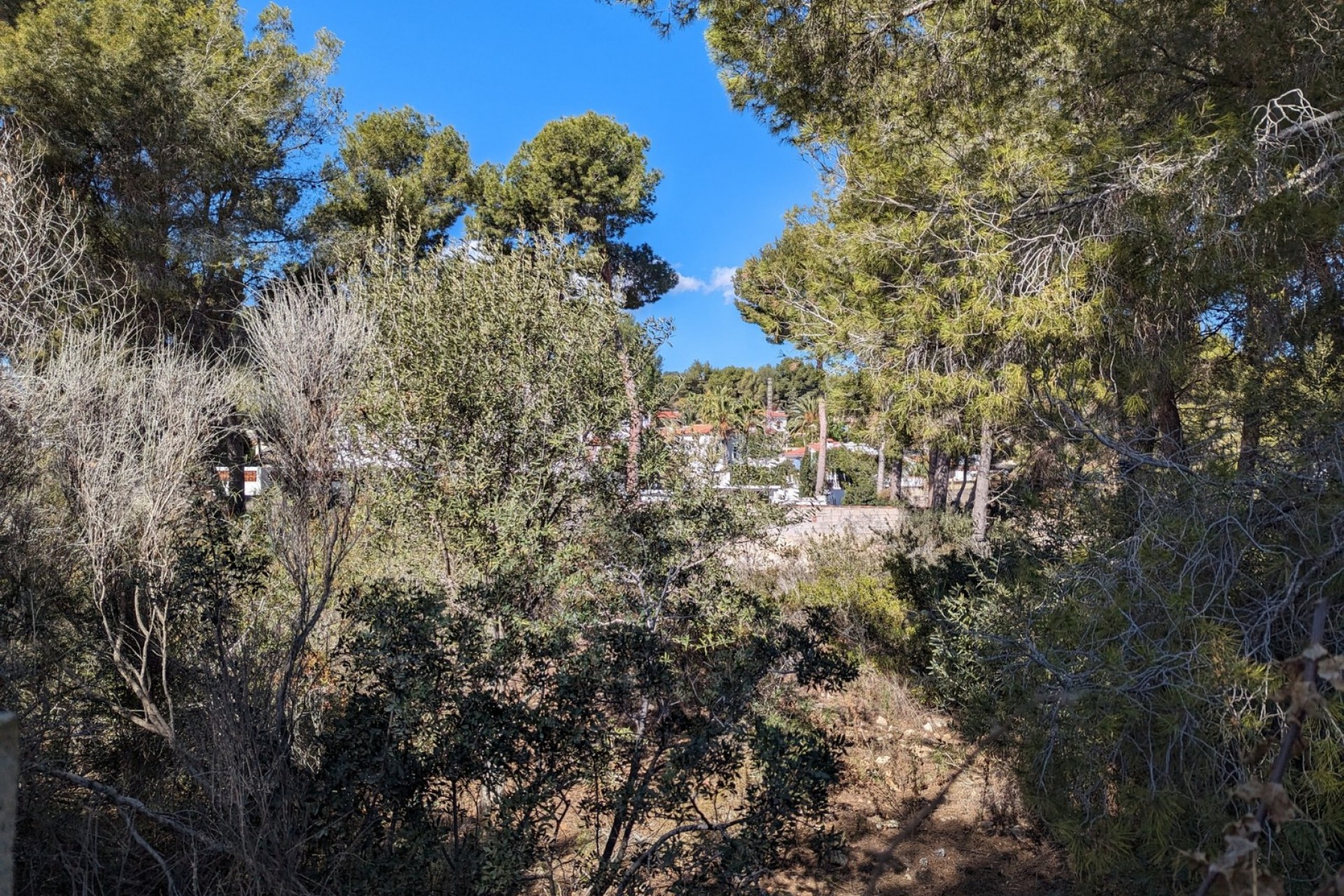 Sale - Plot/Land -
Benissa - Fanadix