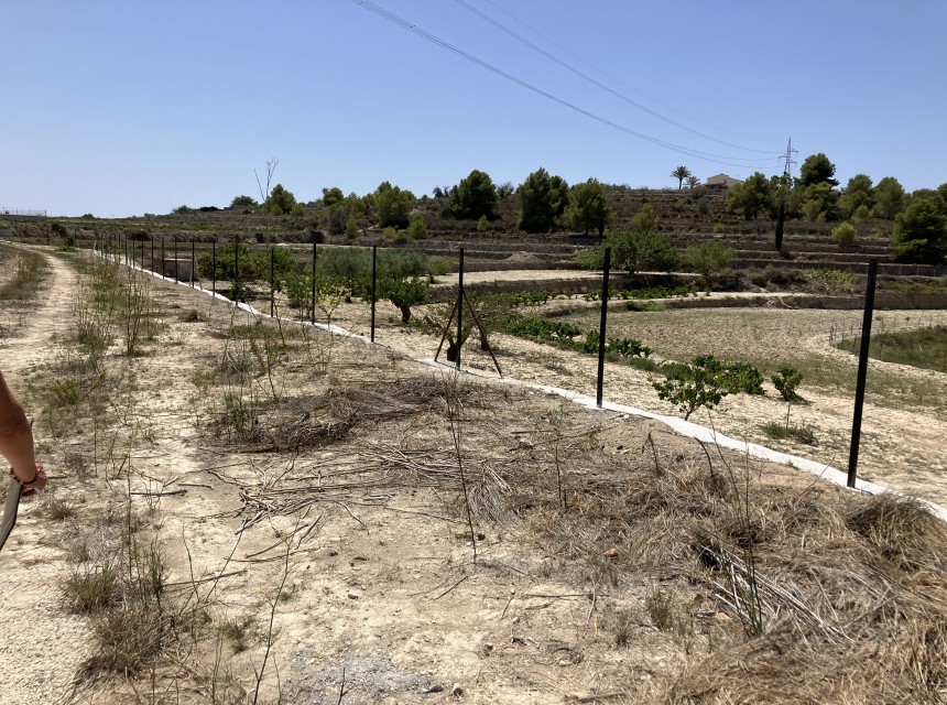 Sale - Plot/Land -
Benissa - Partida Berdica