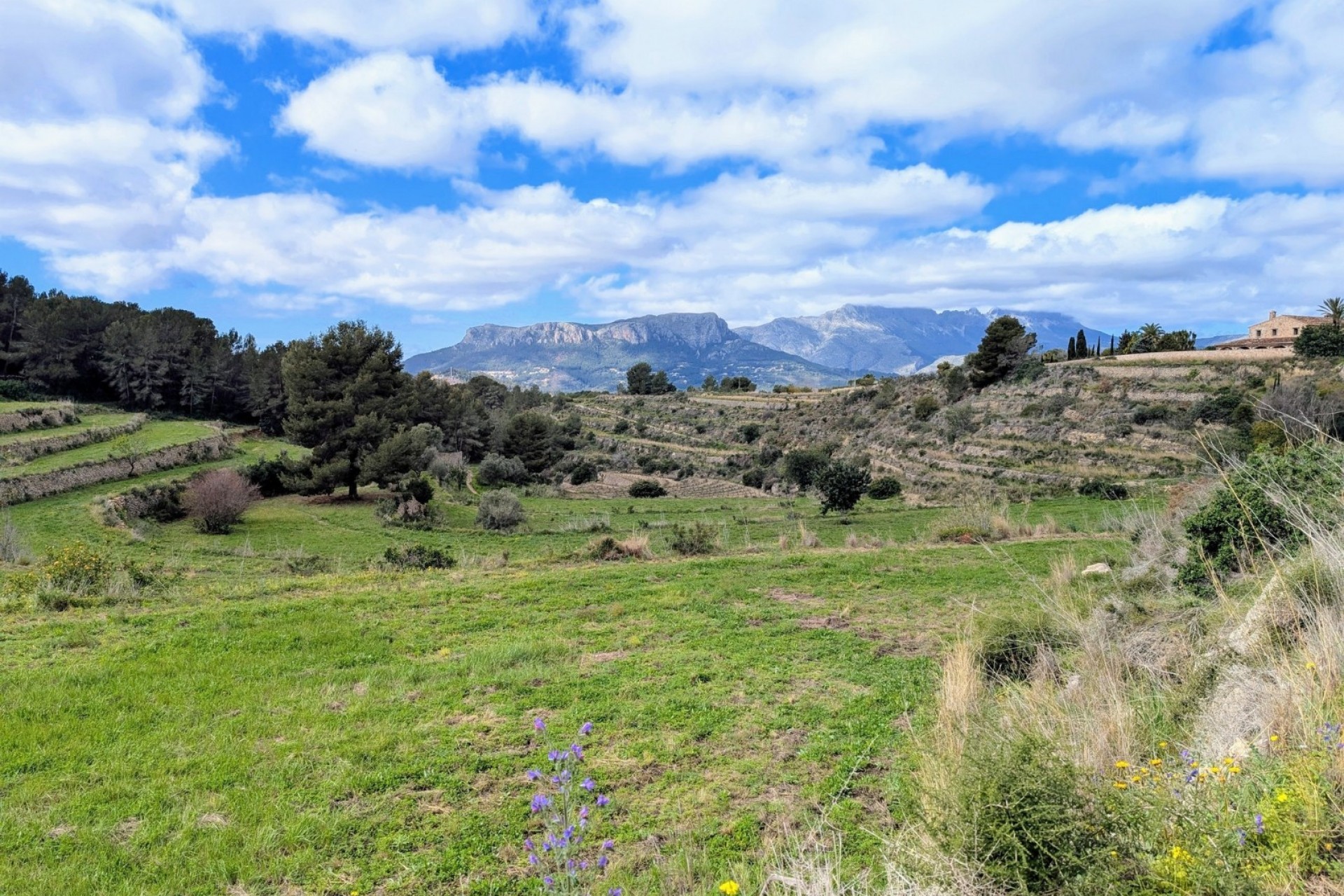 Sale - Plot/Land -
Benissa - Partida Biasner