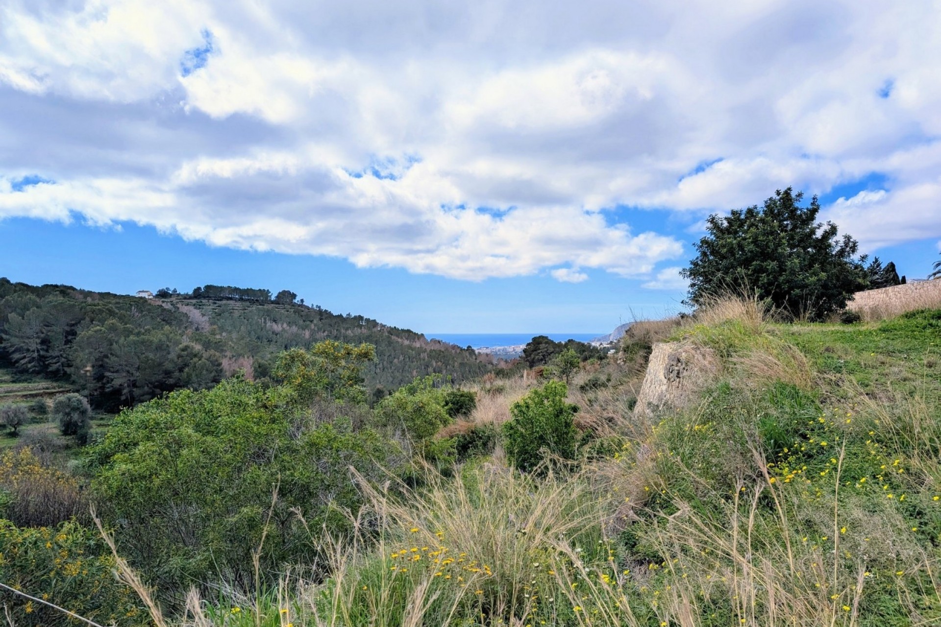 Sale - Plot/Land -
Benissa - Partida Biasner