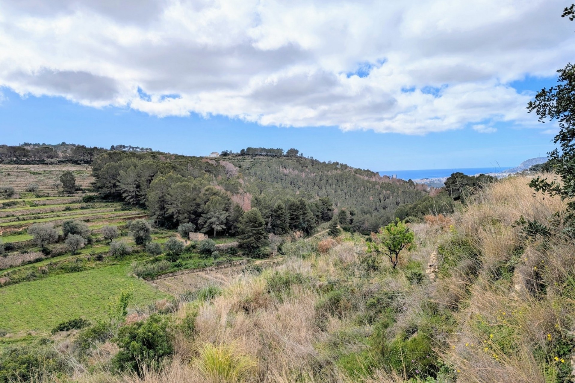 Sale - Plot/Land -
Benissa - Partida Biasner