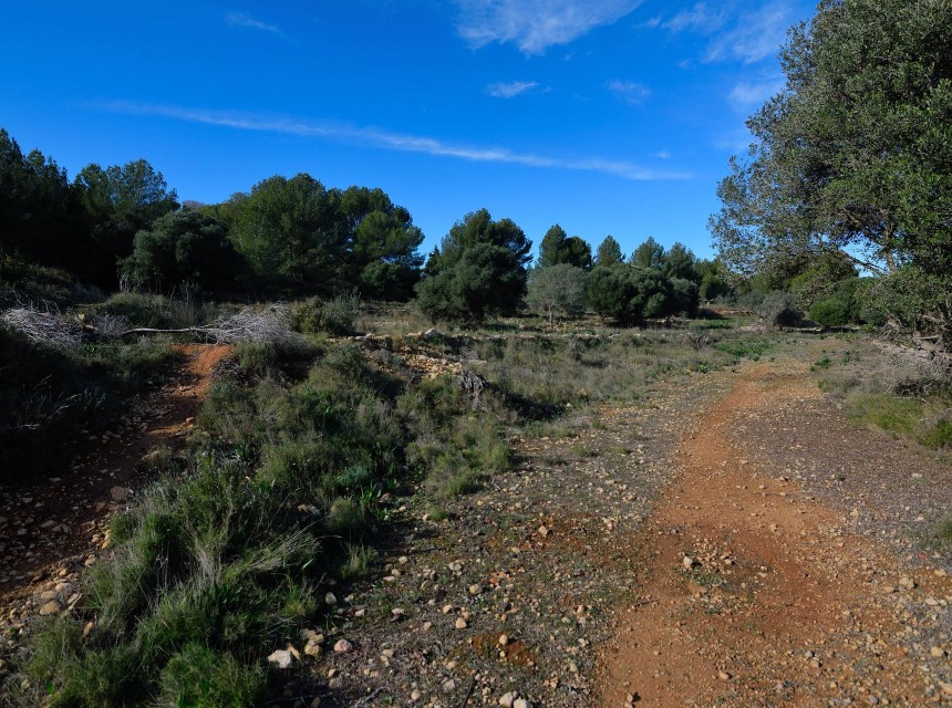 Sale - Plot/Land -
Benissa - Rural