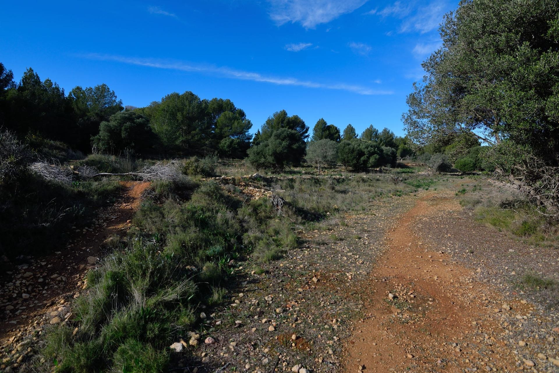 Sale - Plot/Land -
Benissa - Rural