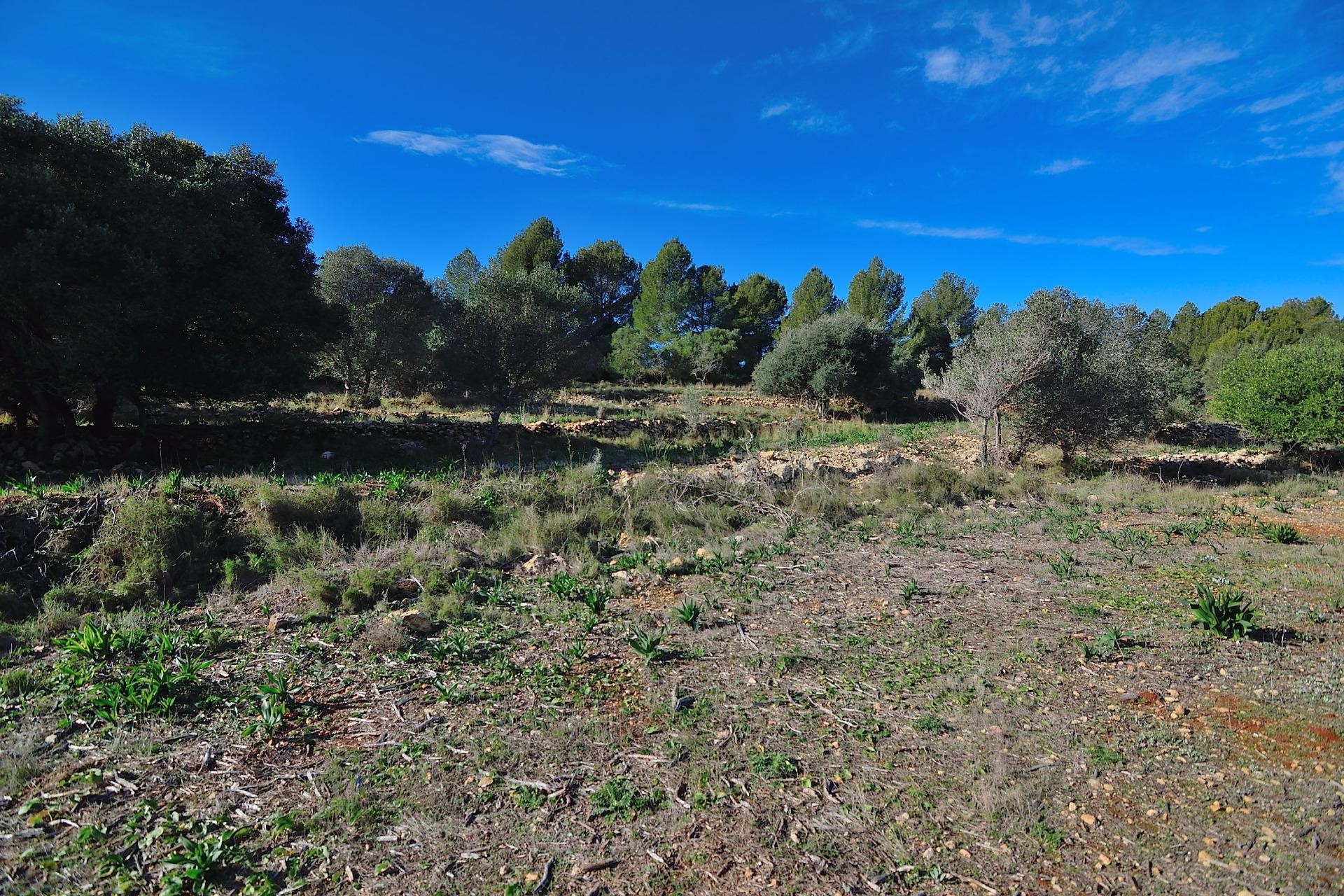 Sale - Plot/Land -
Benissa - Rural