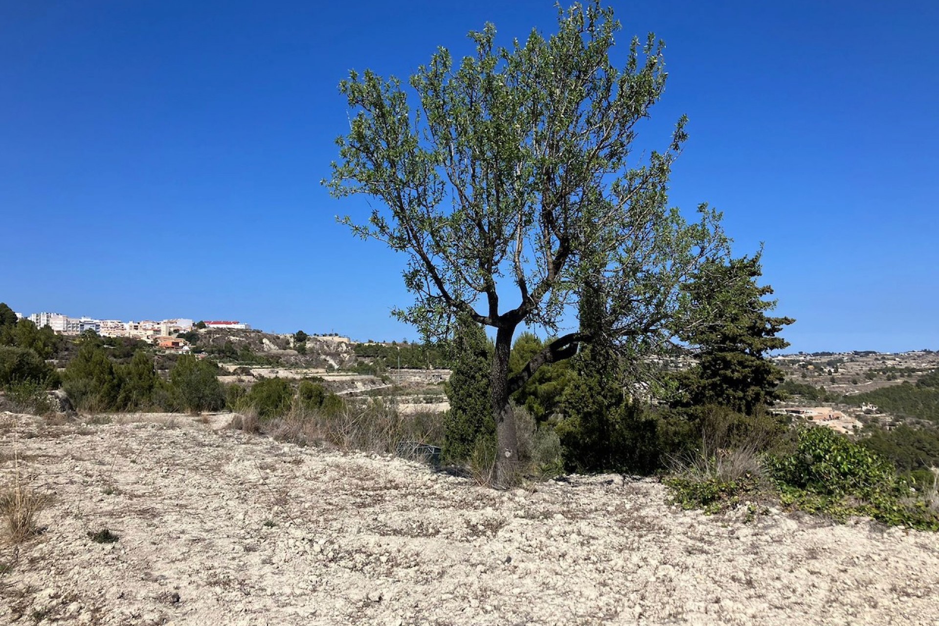 Sale - Plot/Land -
Benissa