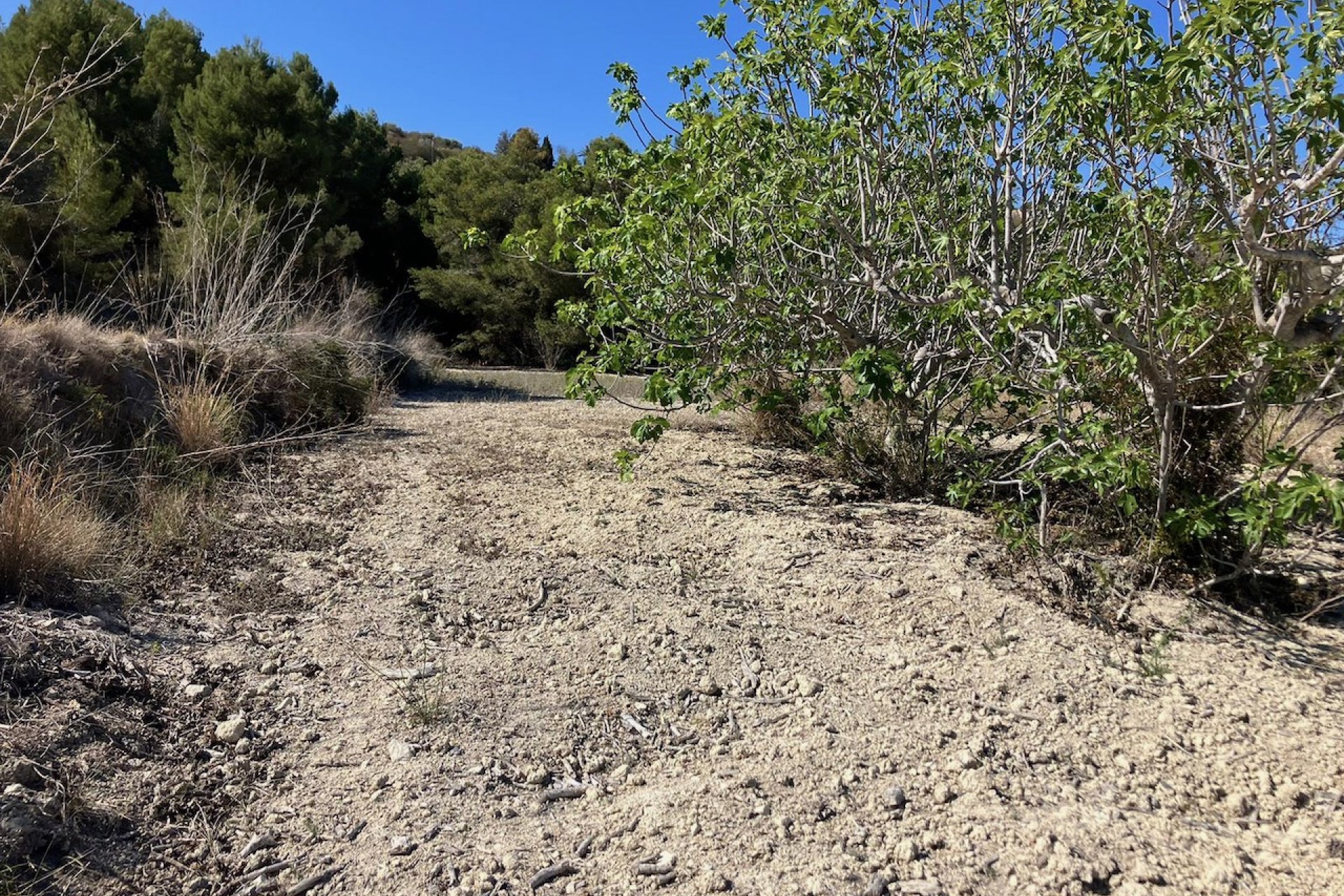 Sale - Plot/Land -
Benissa