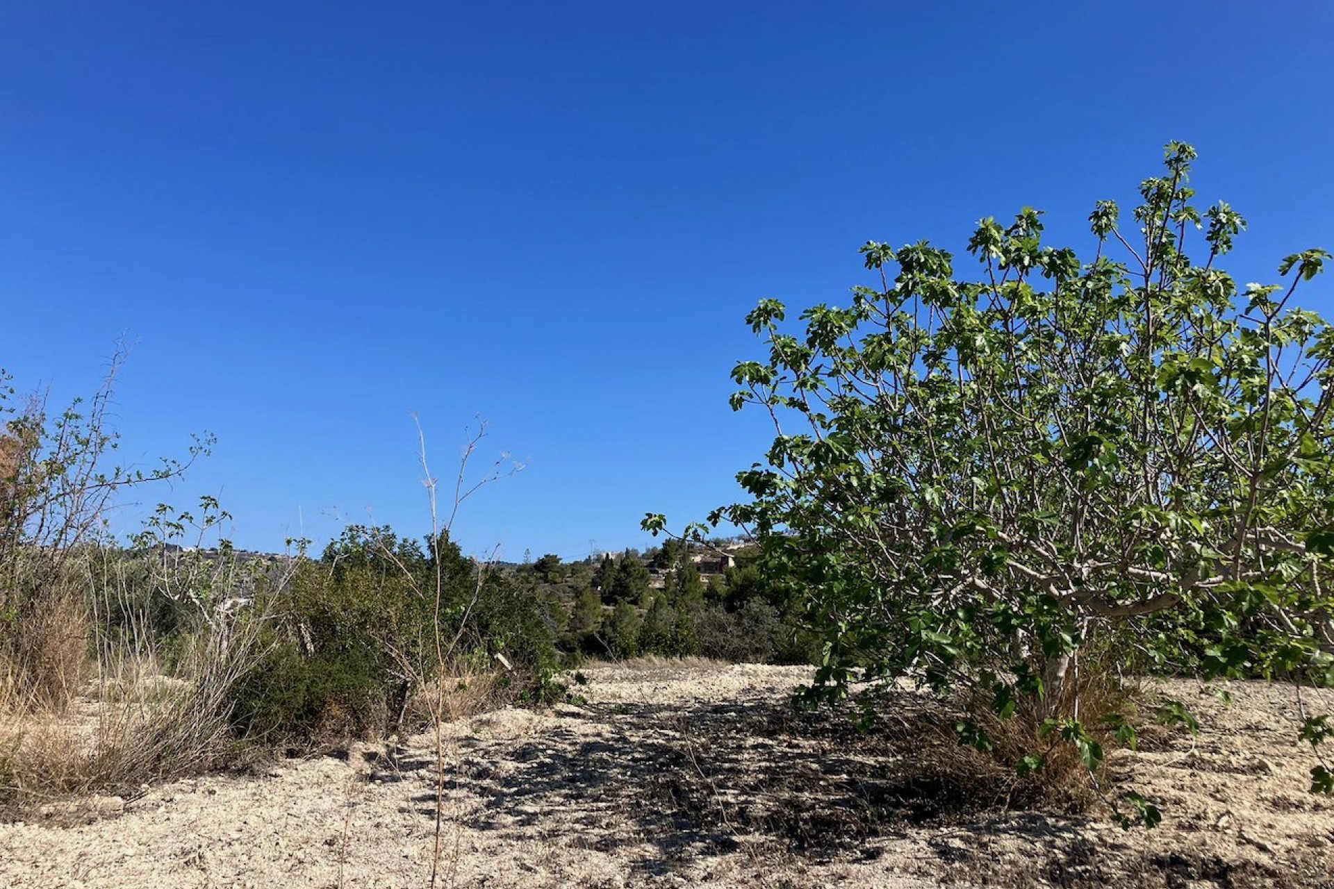 Sale - Plot/Land -
Benissa