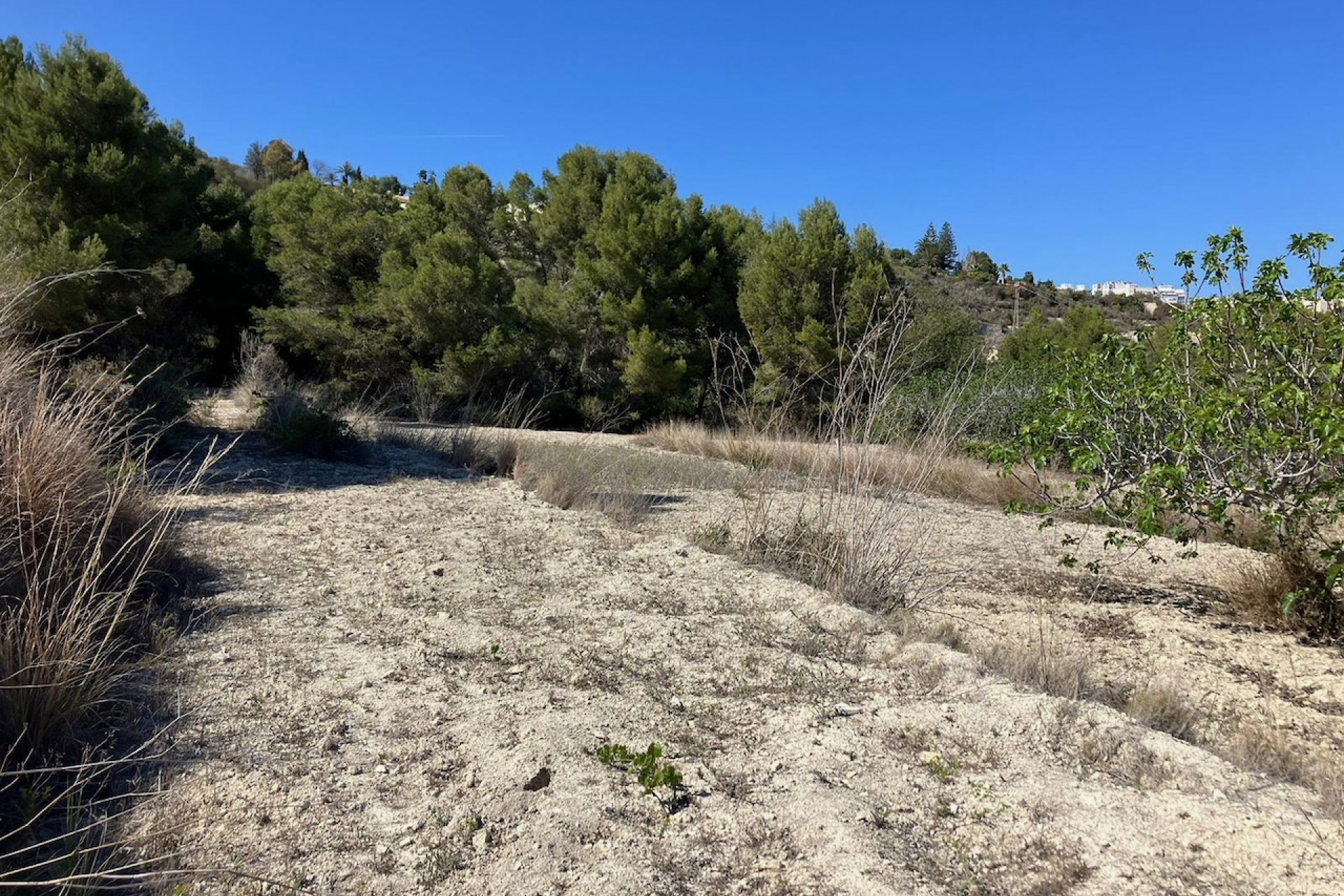 Sale - Plot/Land -
Benissa
