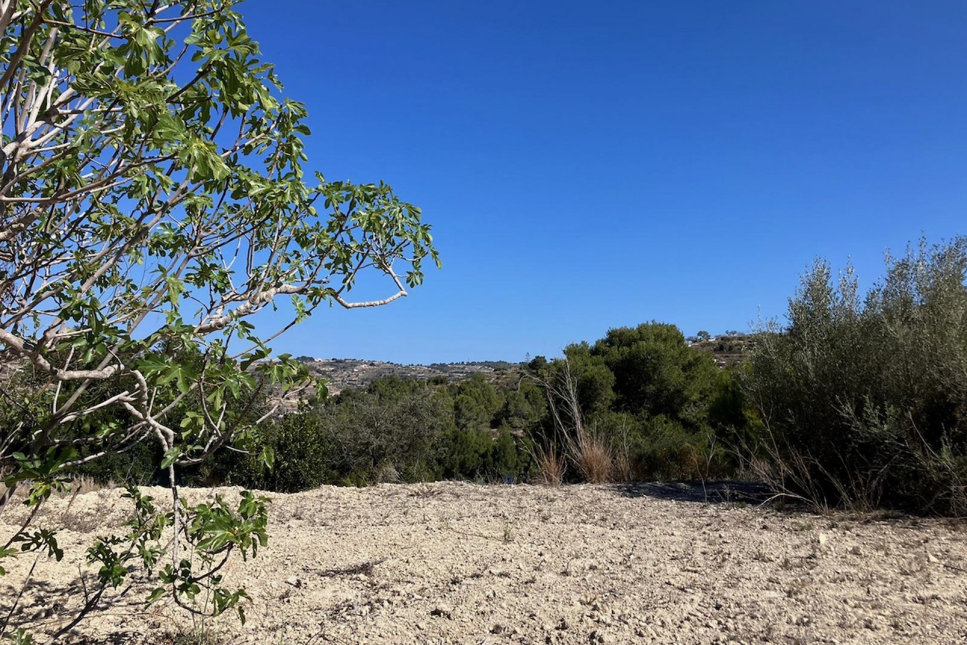 Sale - Plot/Land -
Benissa