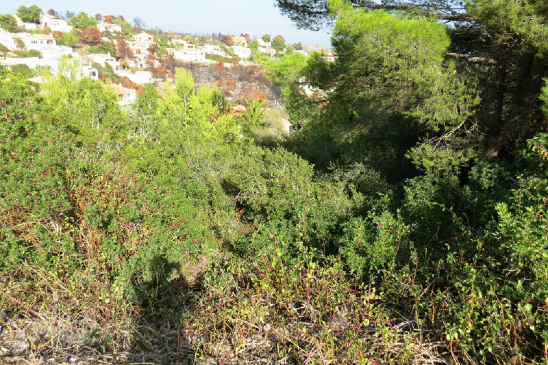 Sale - Plot/Land -
Benitachell - Cumbre Del Sol