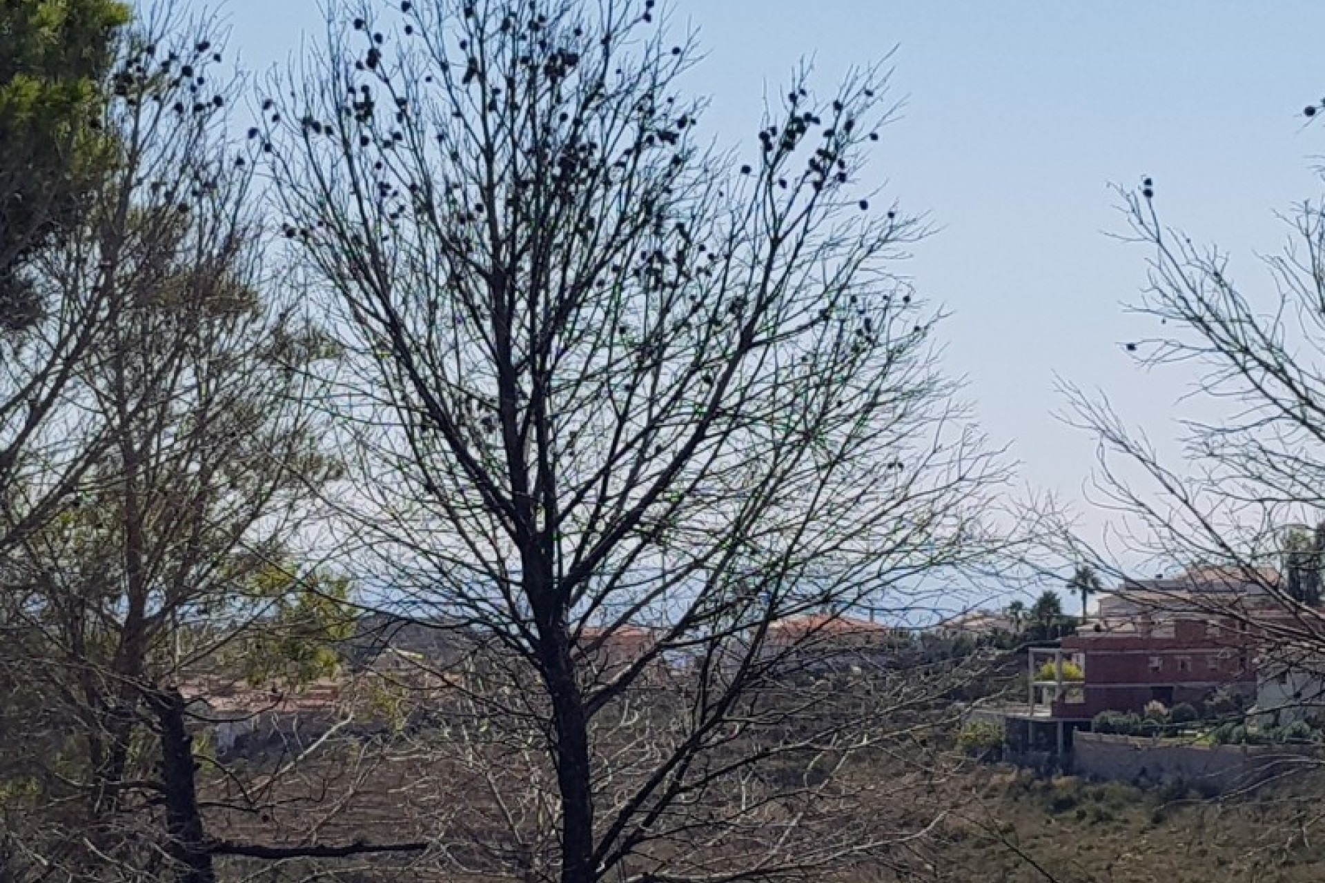 Sale - Plot/Land -
Benitachell - Cumbre Del Sol