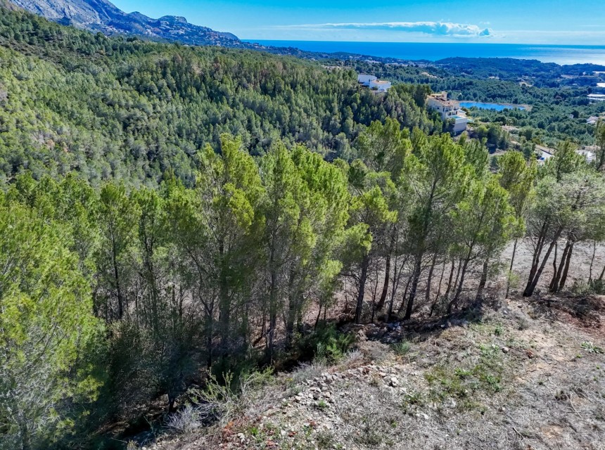Sale - Plot/Land -
Callosa d'en Sarrià - Santa clara