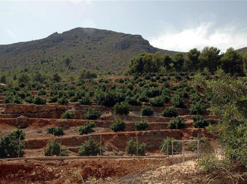 Sale - Plot/Land -
Callosa