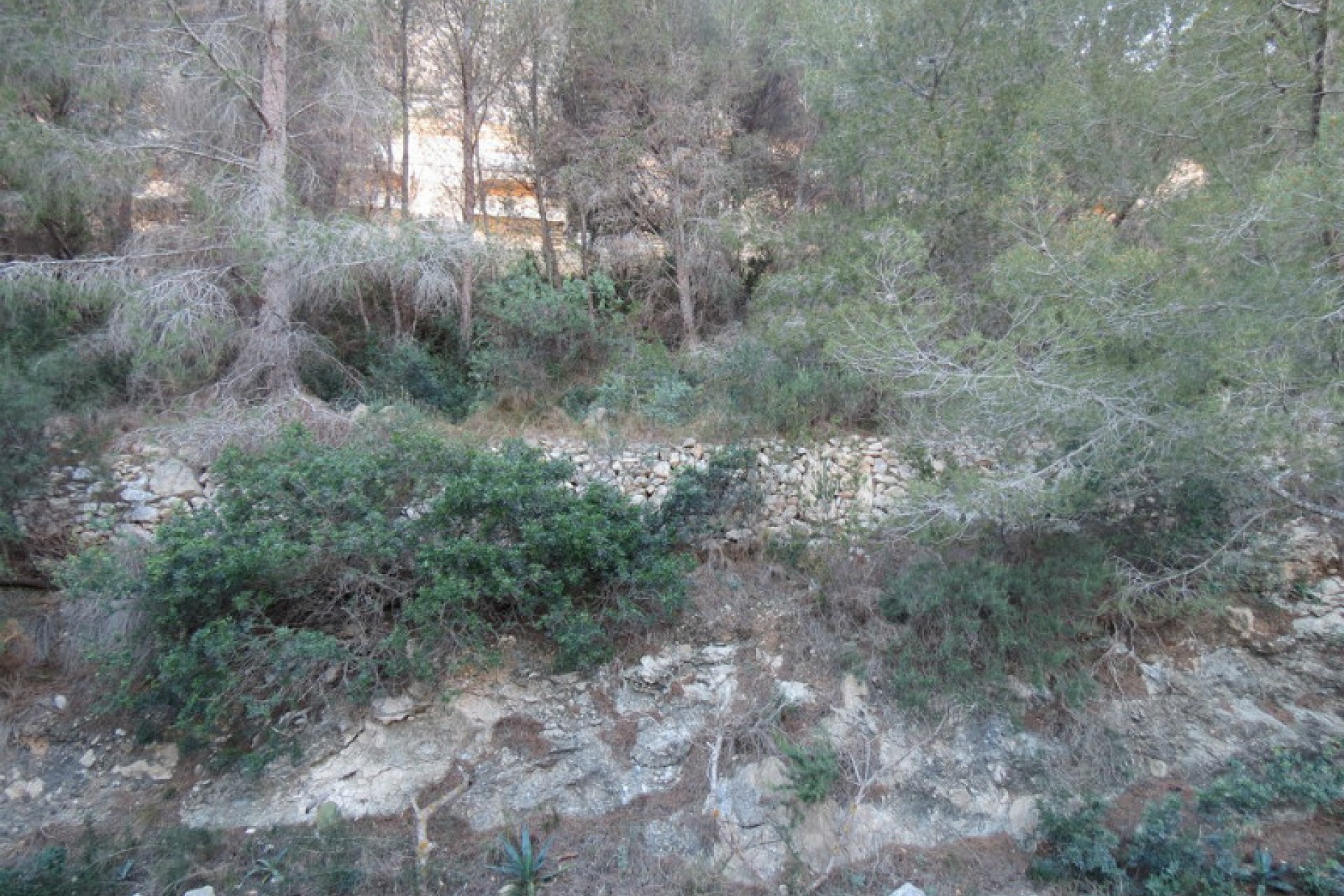 Sale - Plot/Land -
Calpe