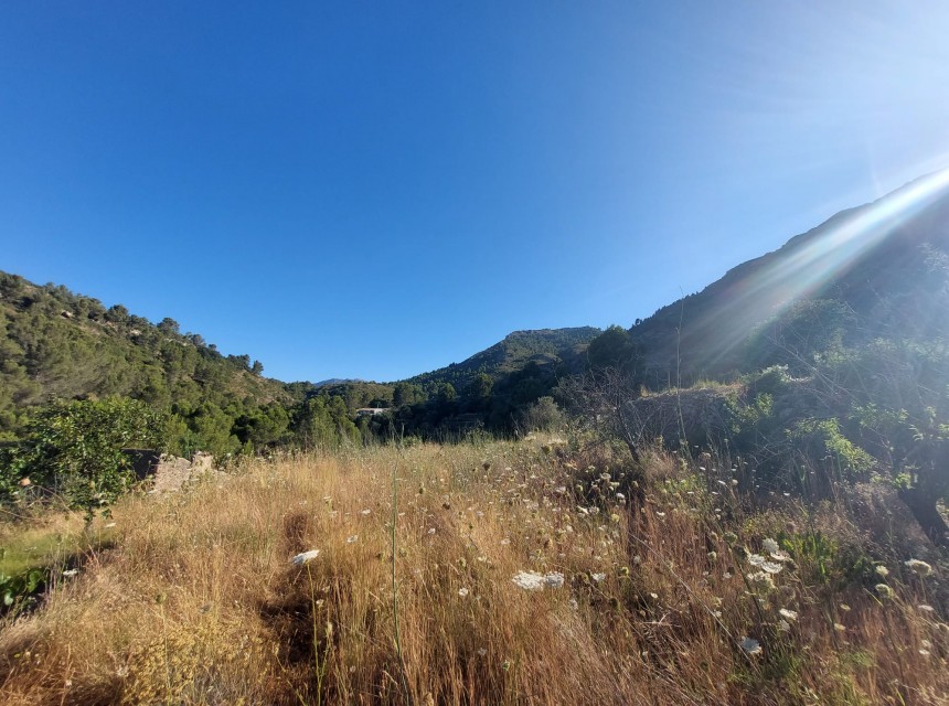 Sale - Plot/Land -
Jalon