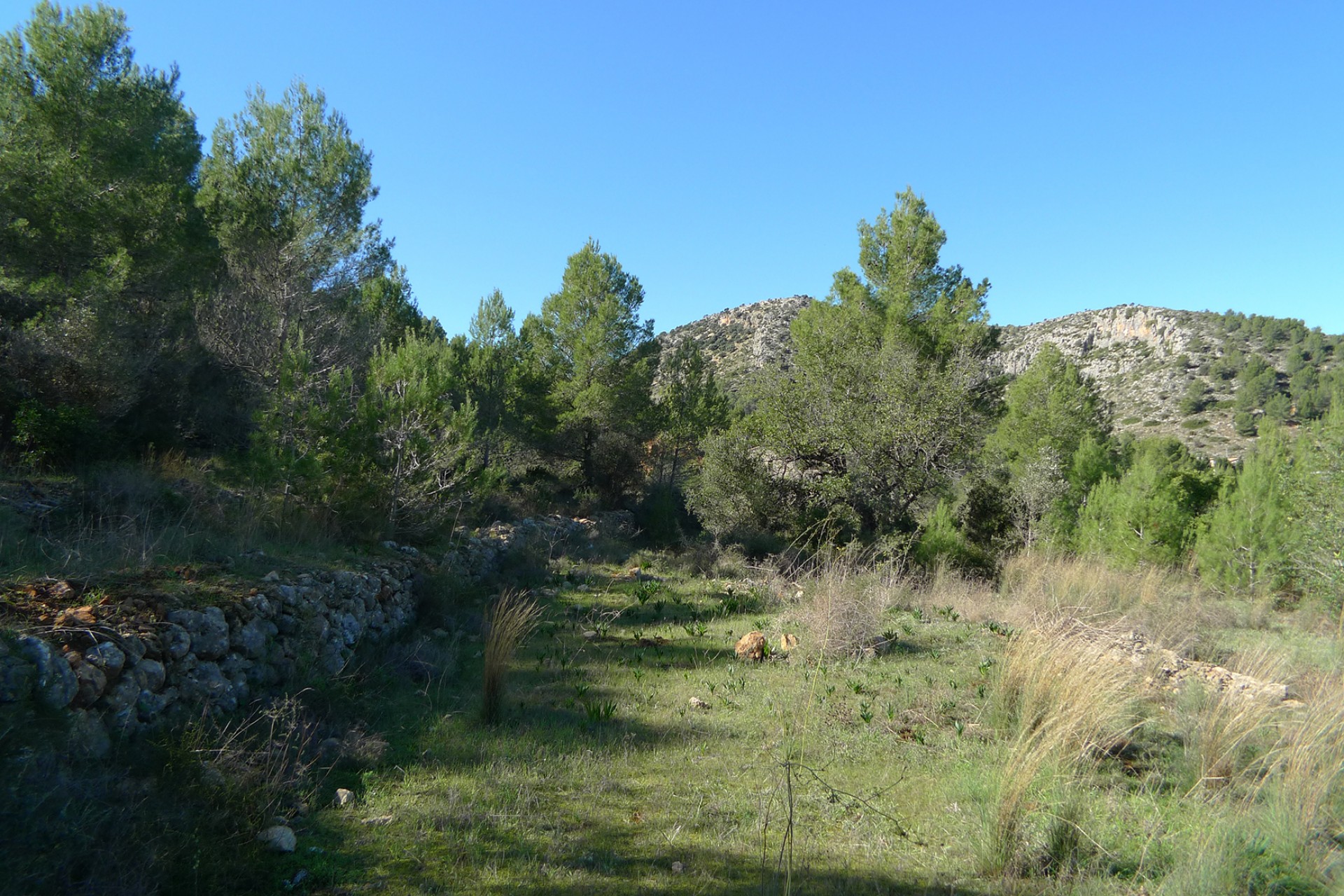 Sale - Plot/Land -
Jalon