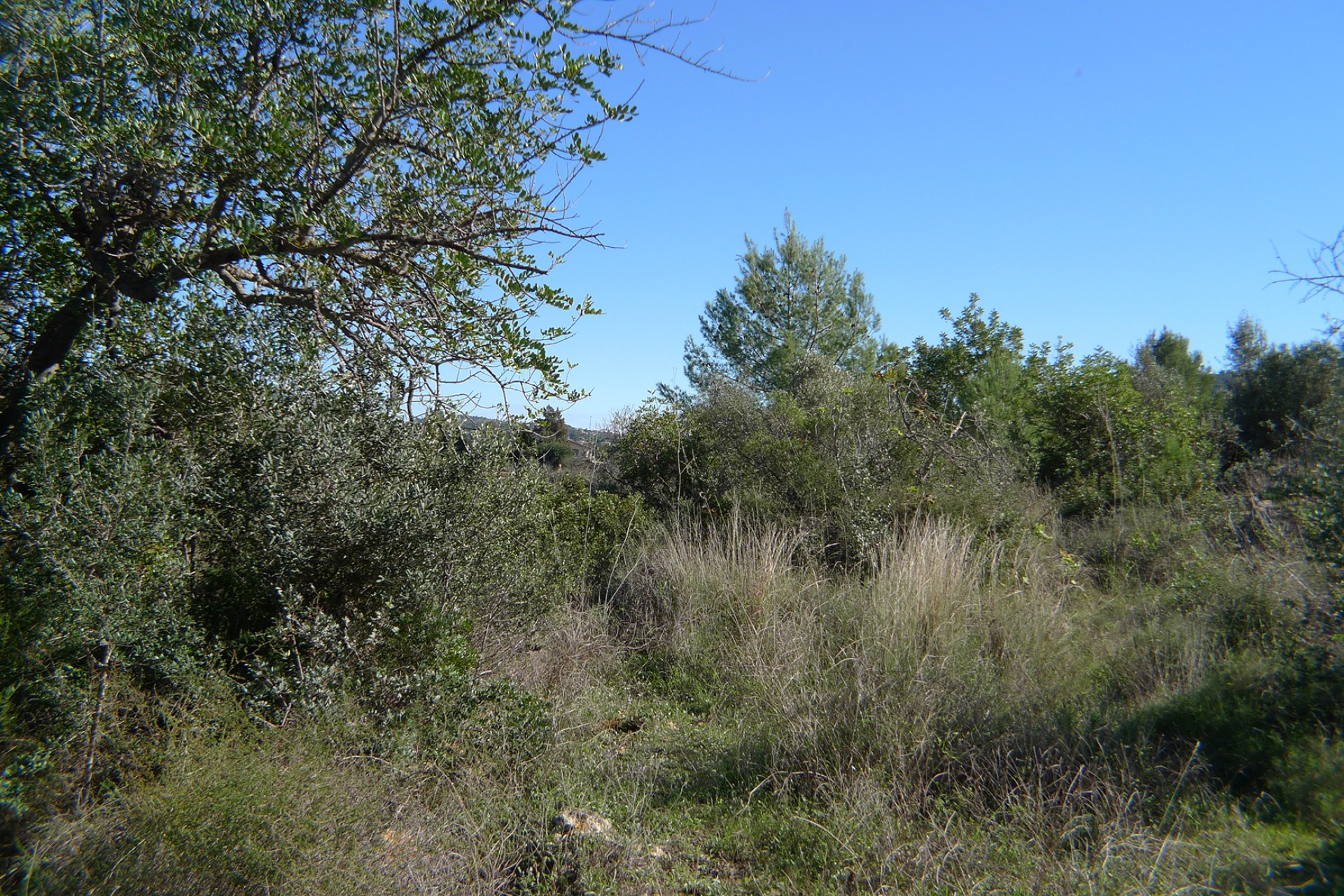 Sale - Plot/Land -
Jalon