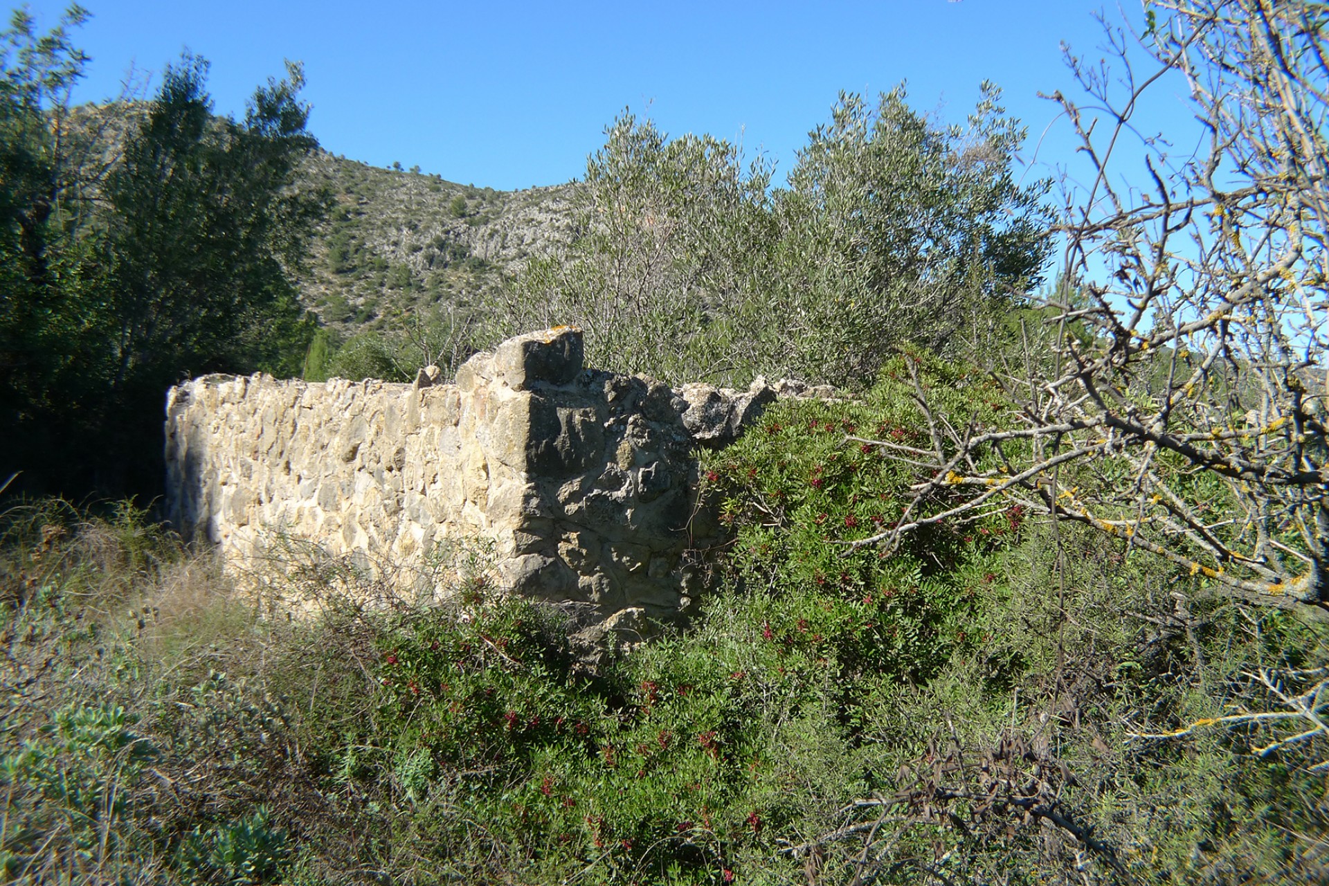 Sale - Plot/Land -
Jalon