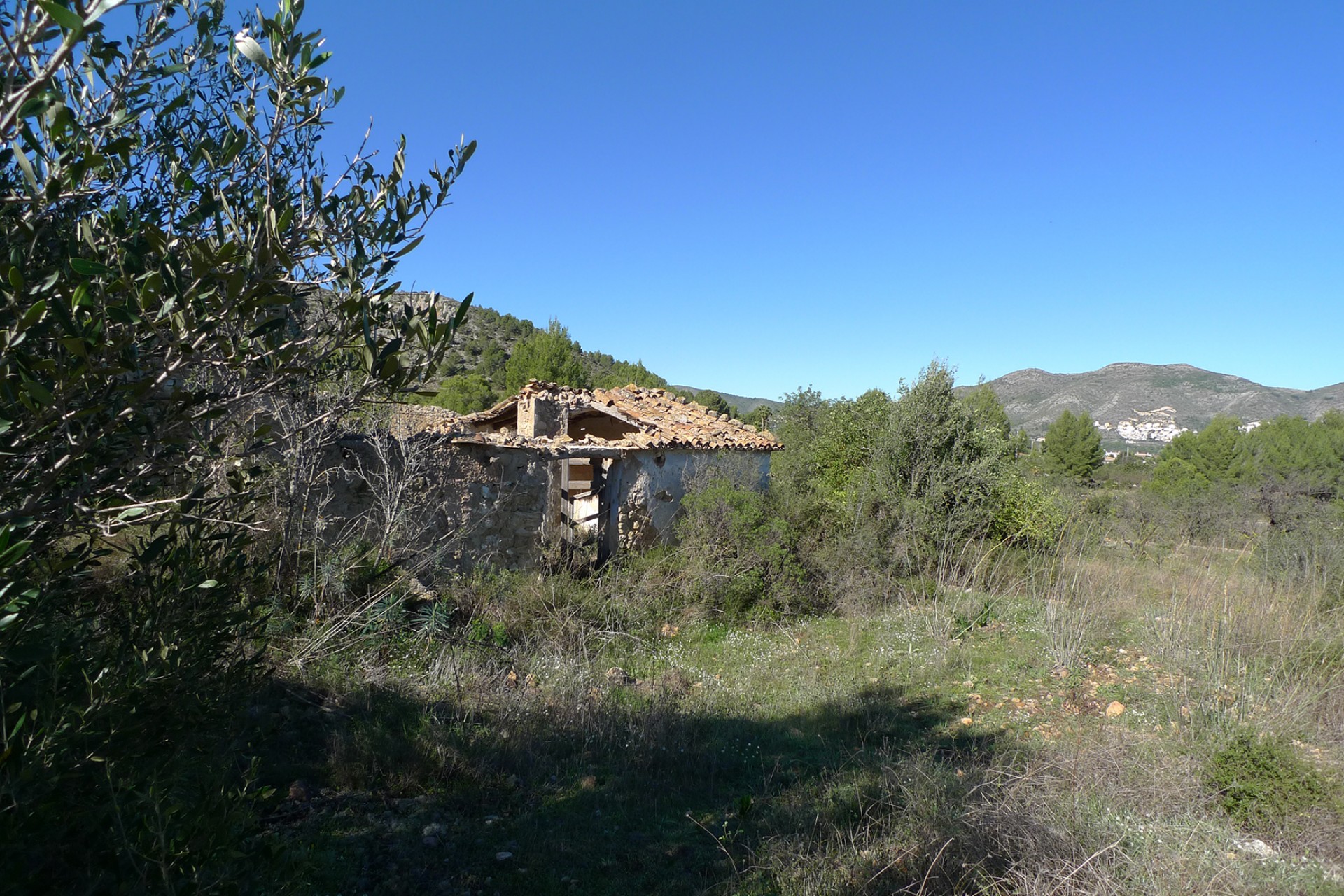 Sale - Plot/Land -
Jalon