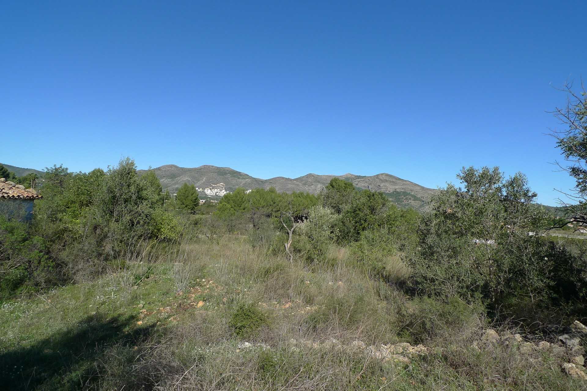 Sale - Plot/Land -
Jalon