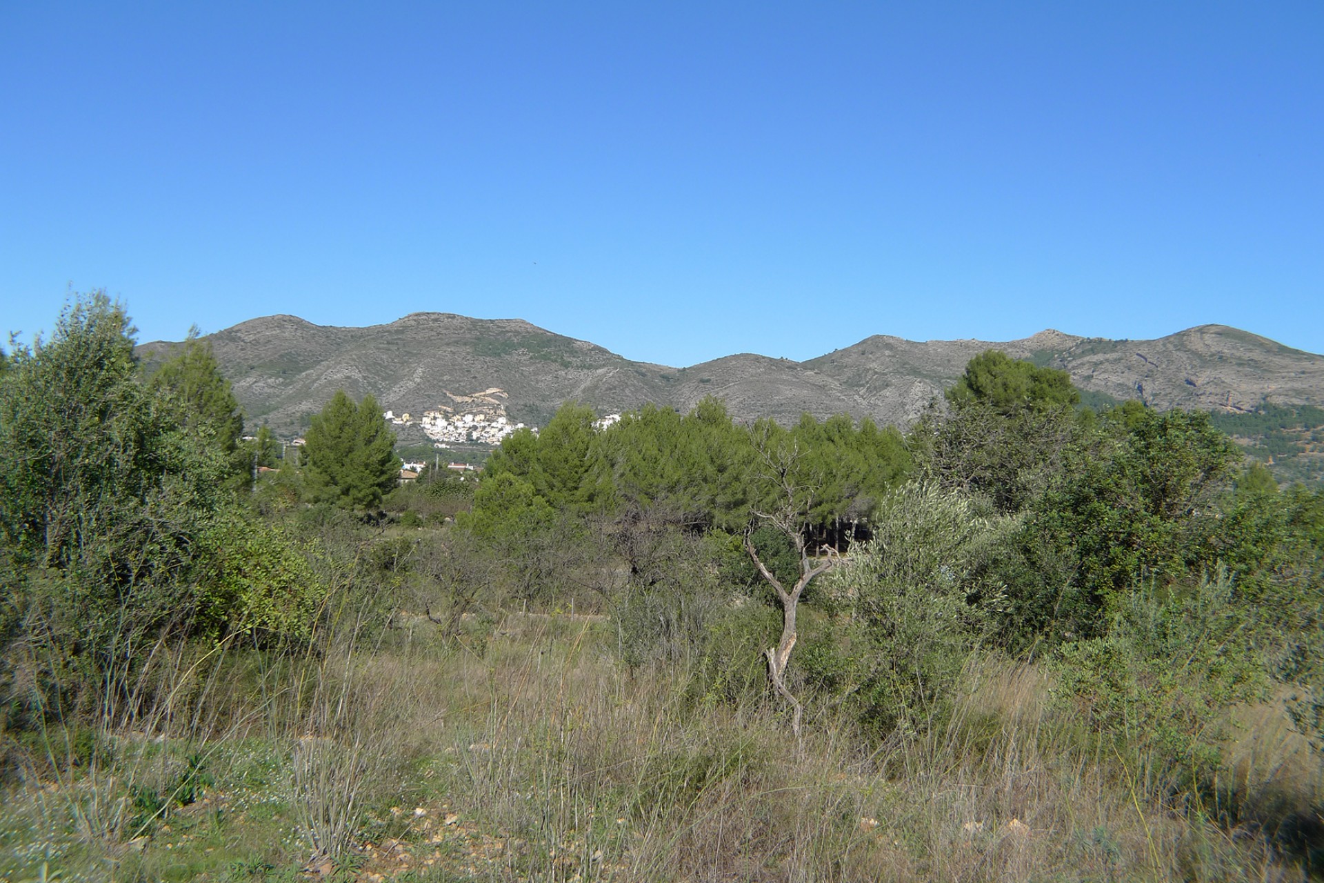Sale - Plot/Land -
Jalon
