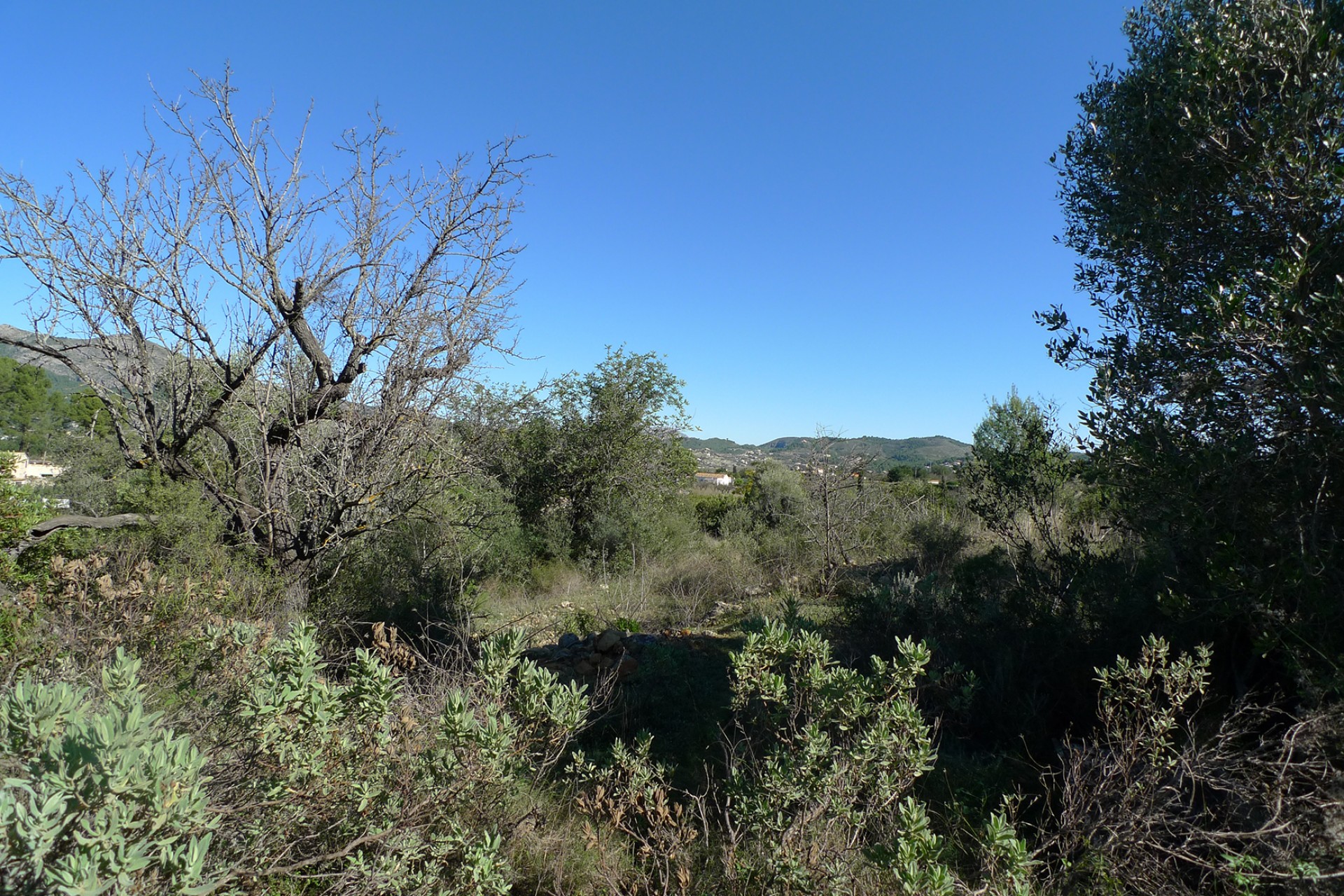 Sale - Plot/Land -
Jalon