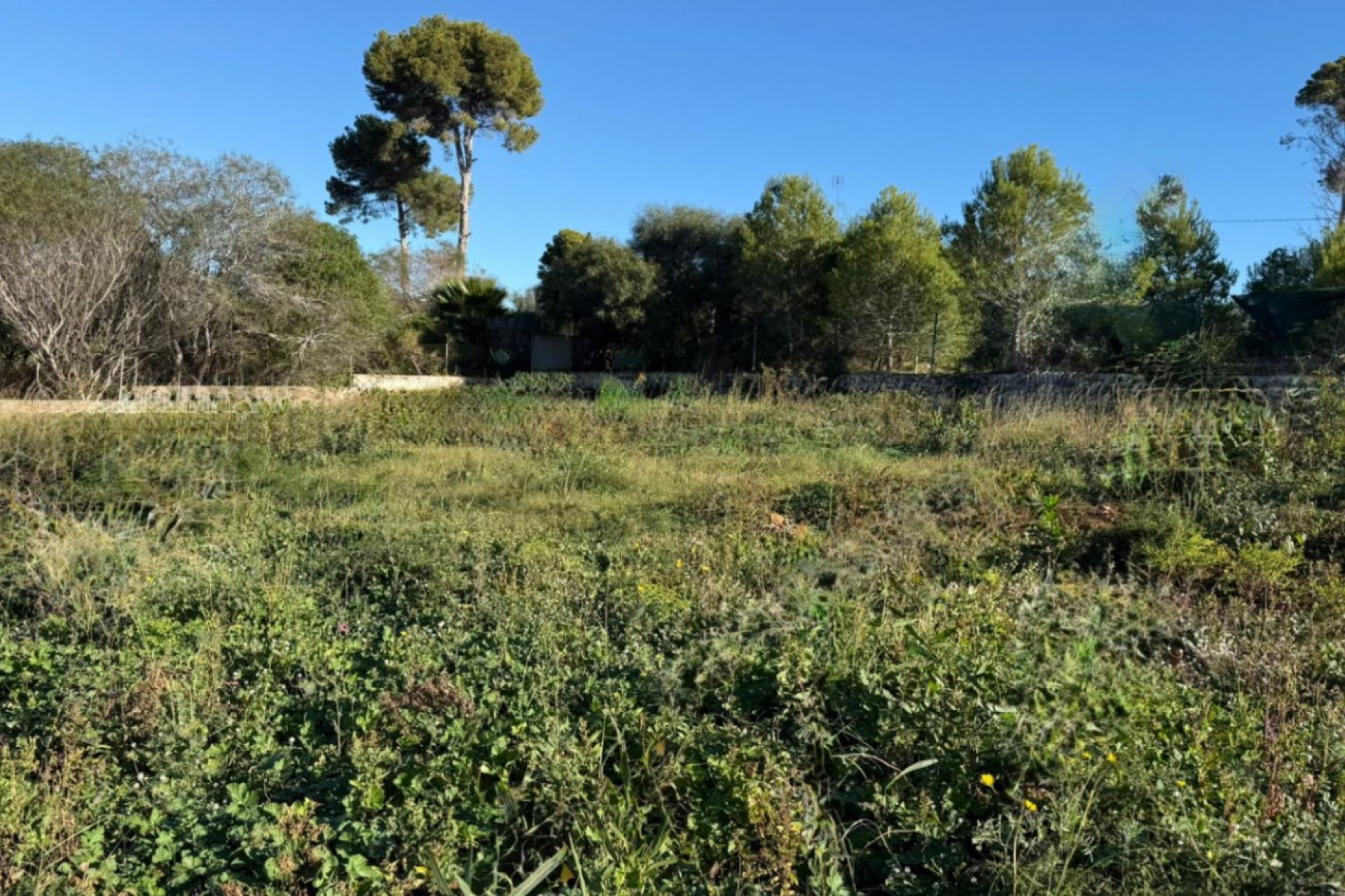 Sale - Plot/Land -
Javea - Pinosol