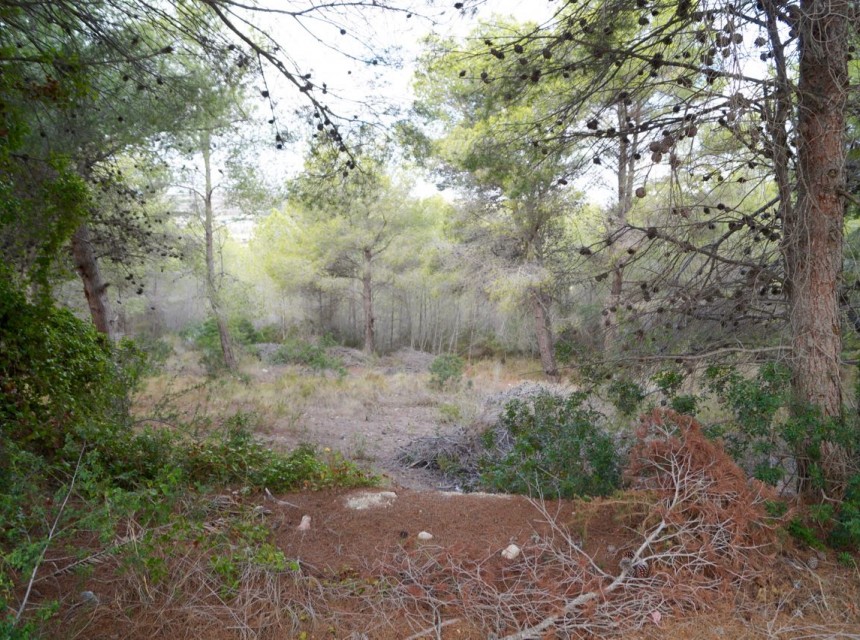 Sale - Plot/Land -
Moraira - Benimeit