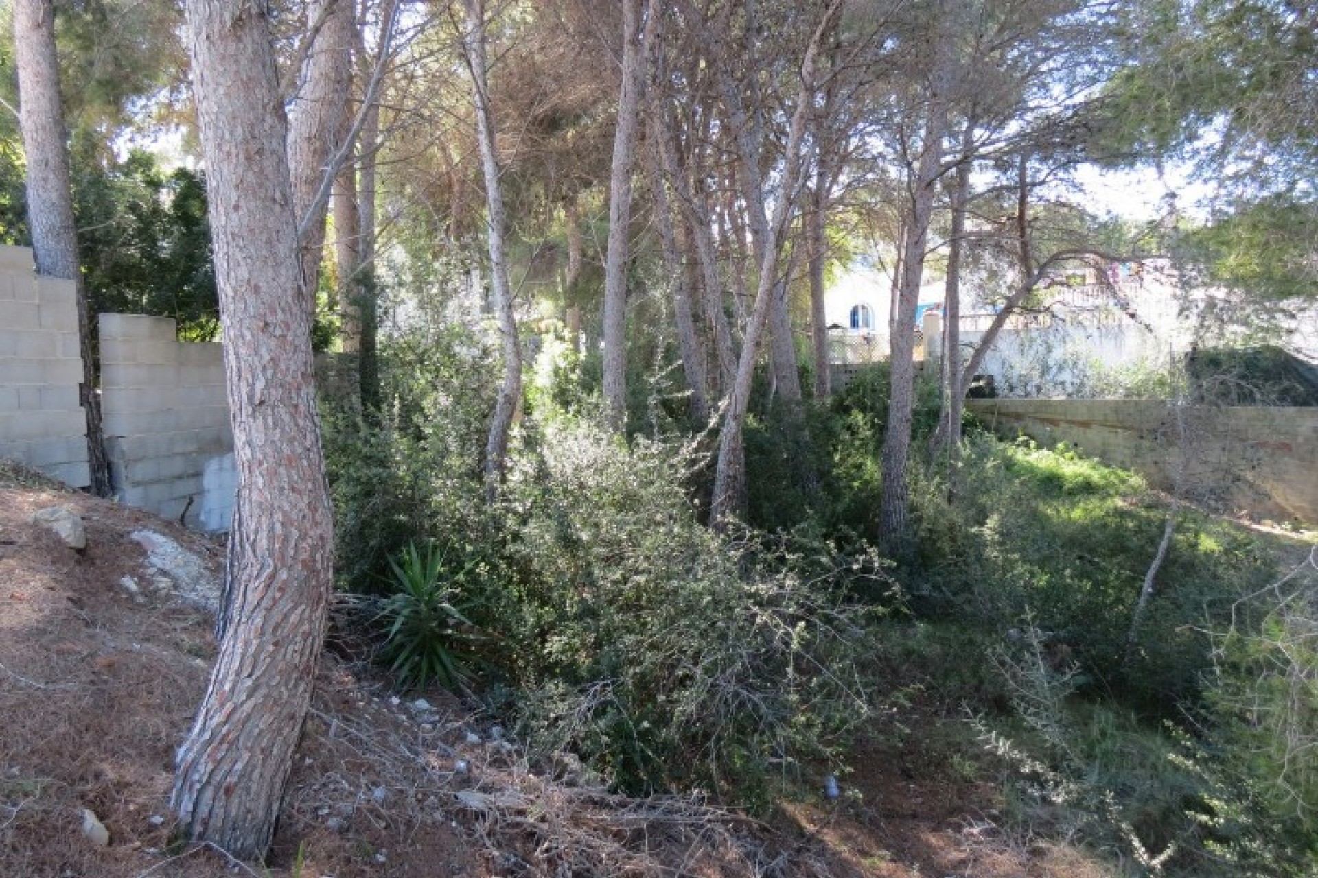 Sale - Plot/Land -
Moraira - Cap Blanc