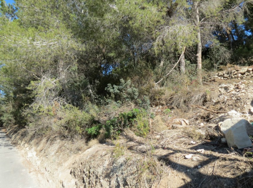 Sale - Plot/Land -
Moraira - Cap Blanc