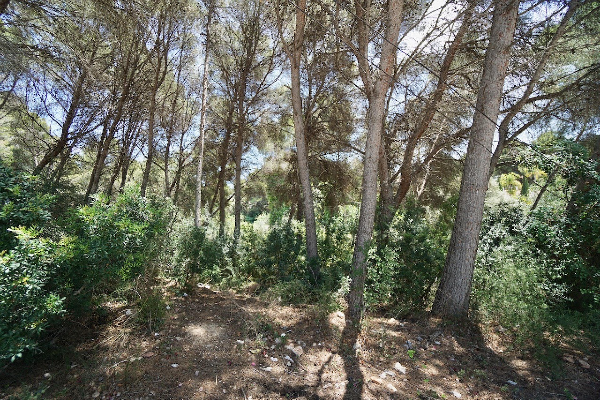Sale - Plot/Land -
Moraira - La Cometa