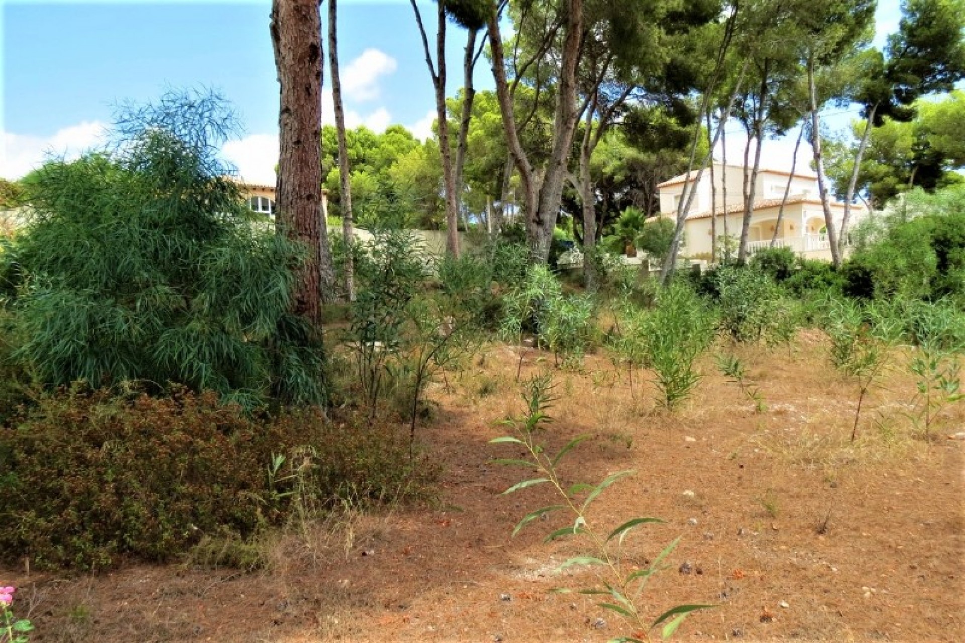 Sale - Plot/Land -
Moraira - Pinar de l´Advocat